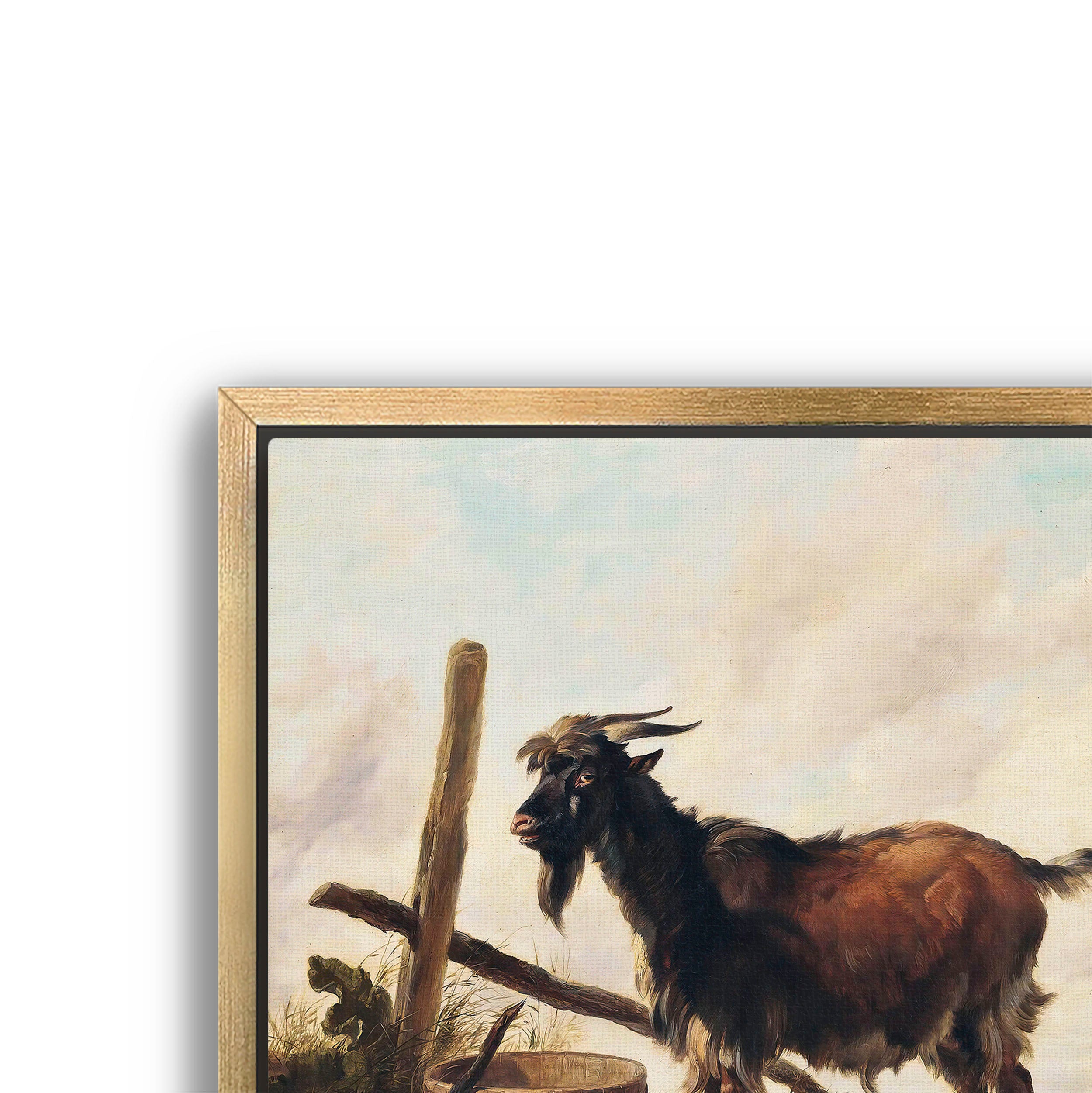 goat in the landscape