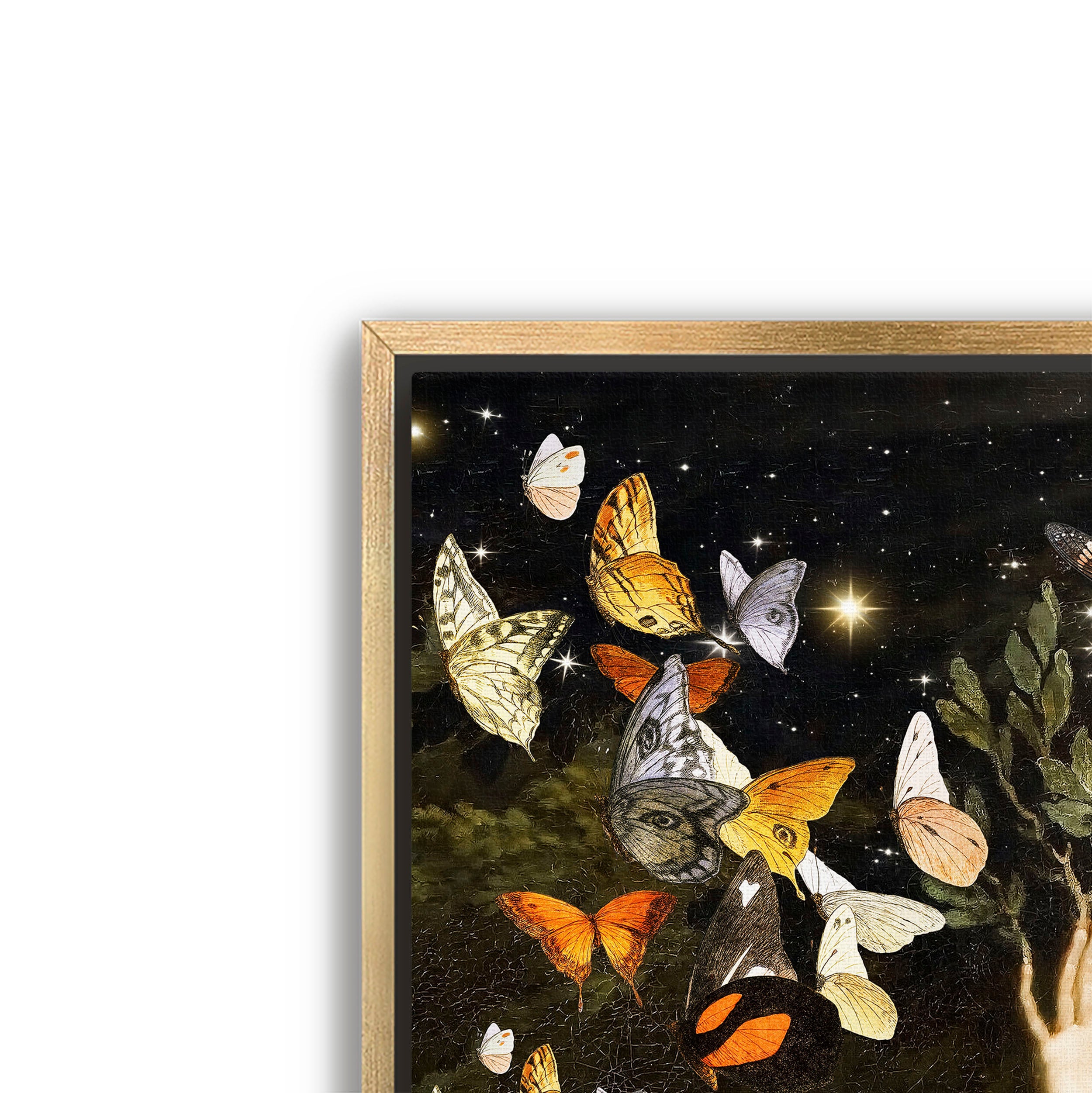 flight of the butterflies