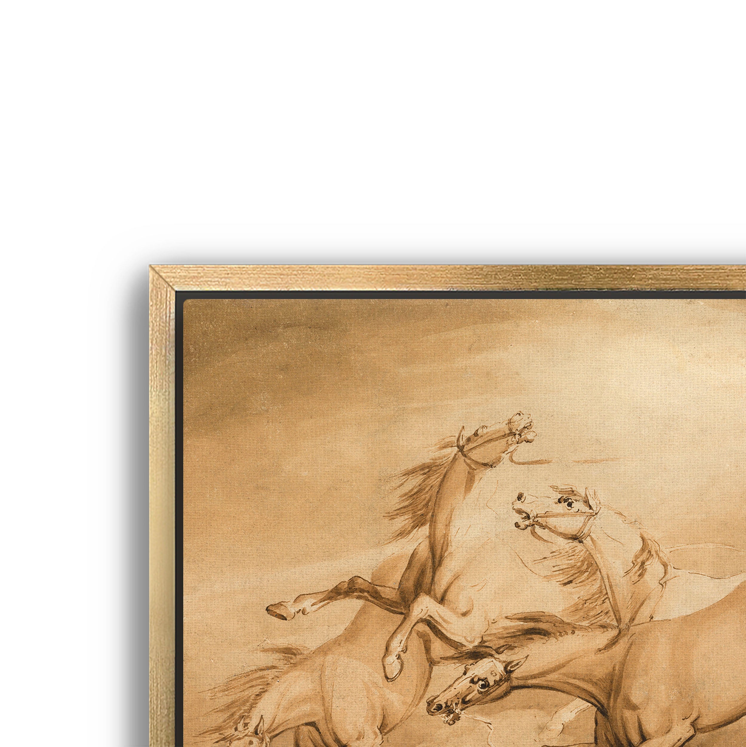 four galloping horses
