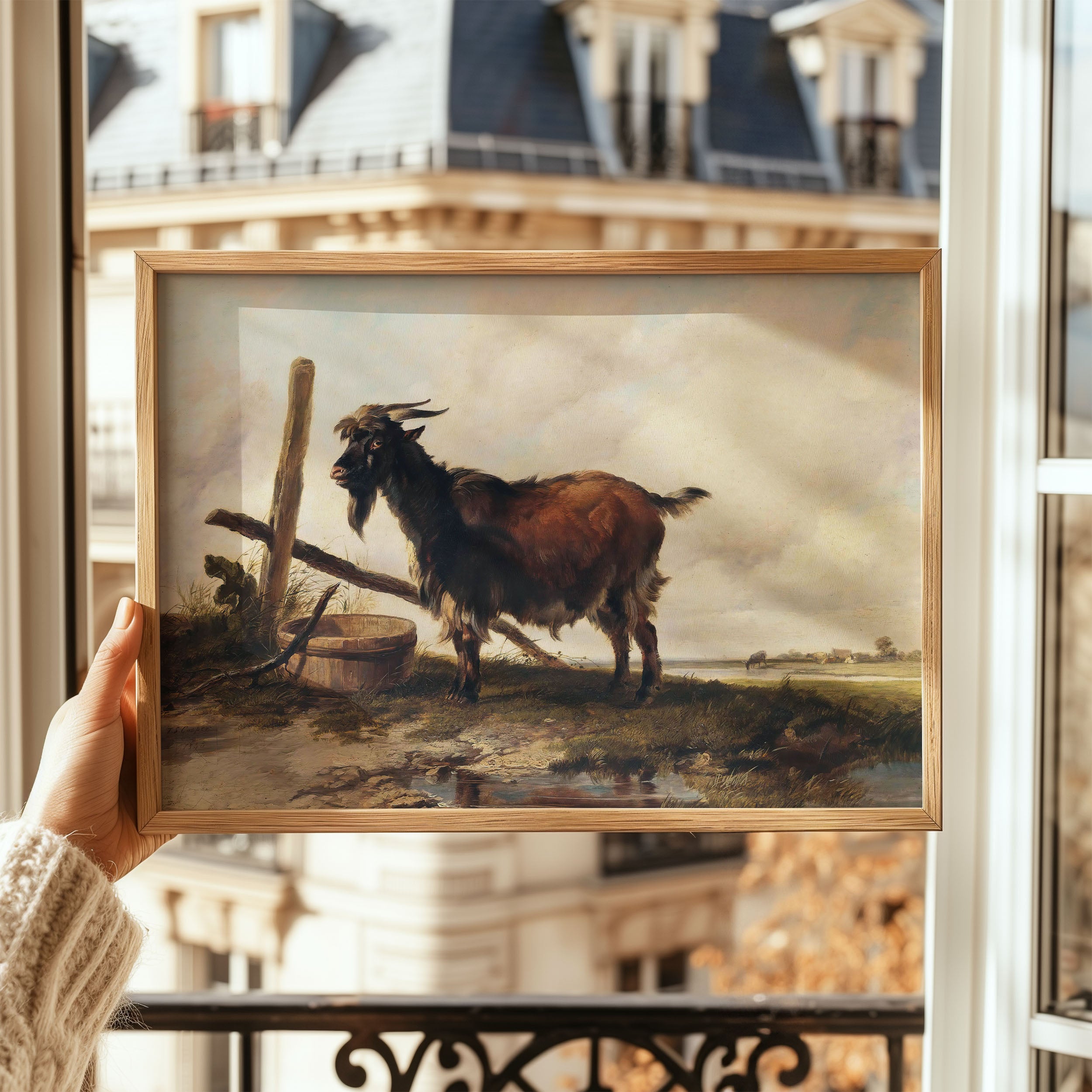 goat in the landscape