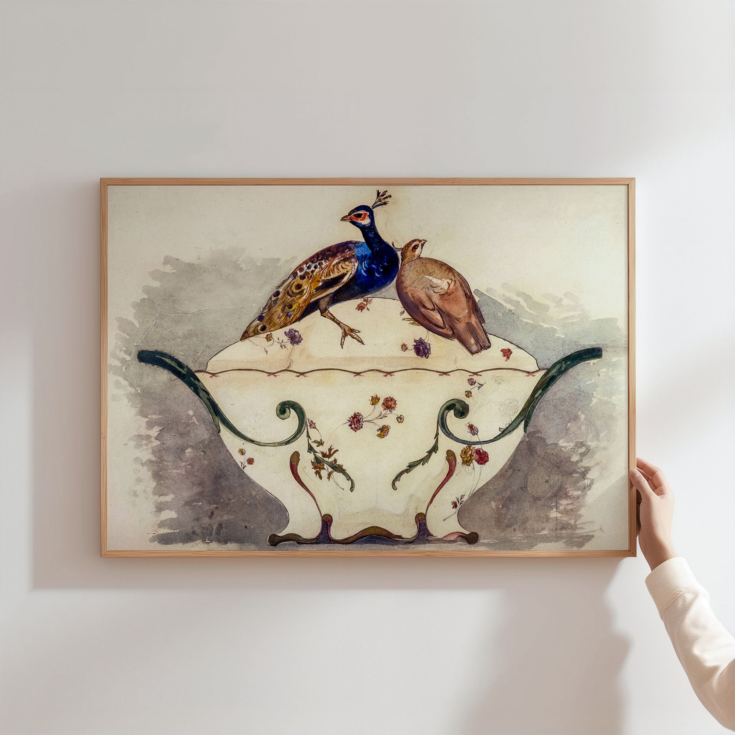 fine pheasant