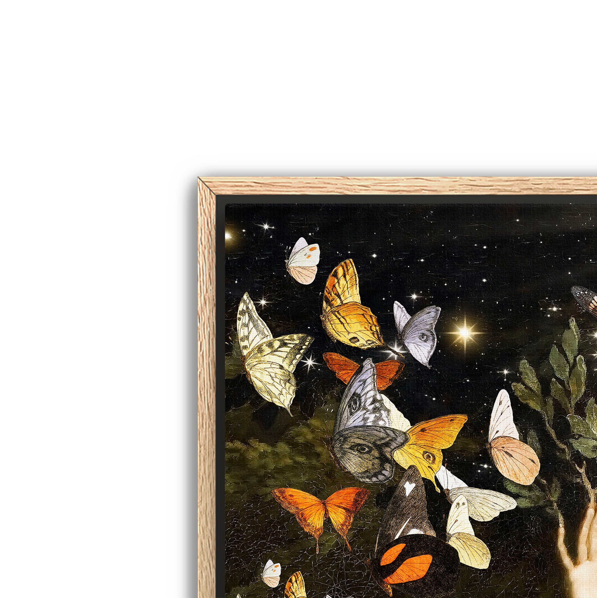 flight of the butterflies
