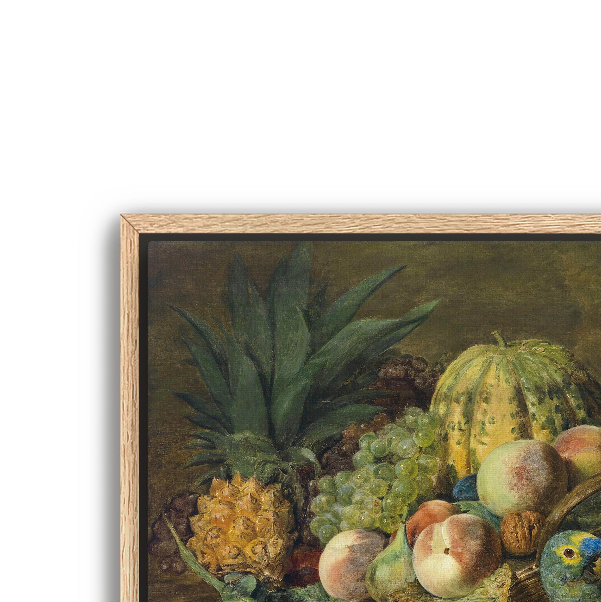 fruit with parrot