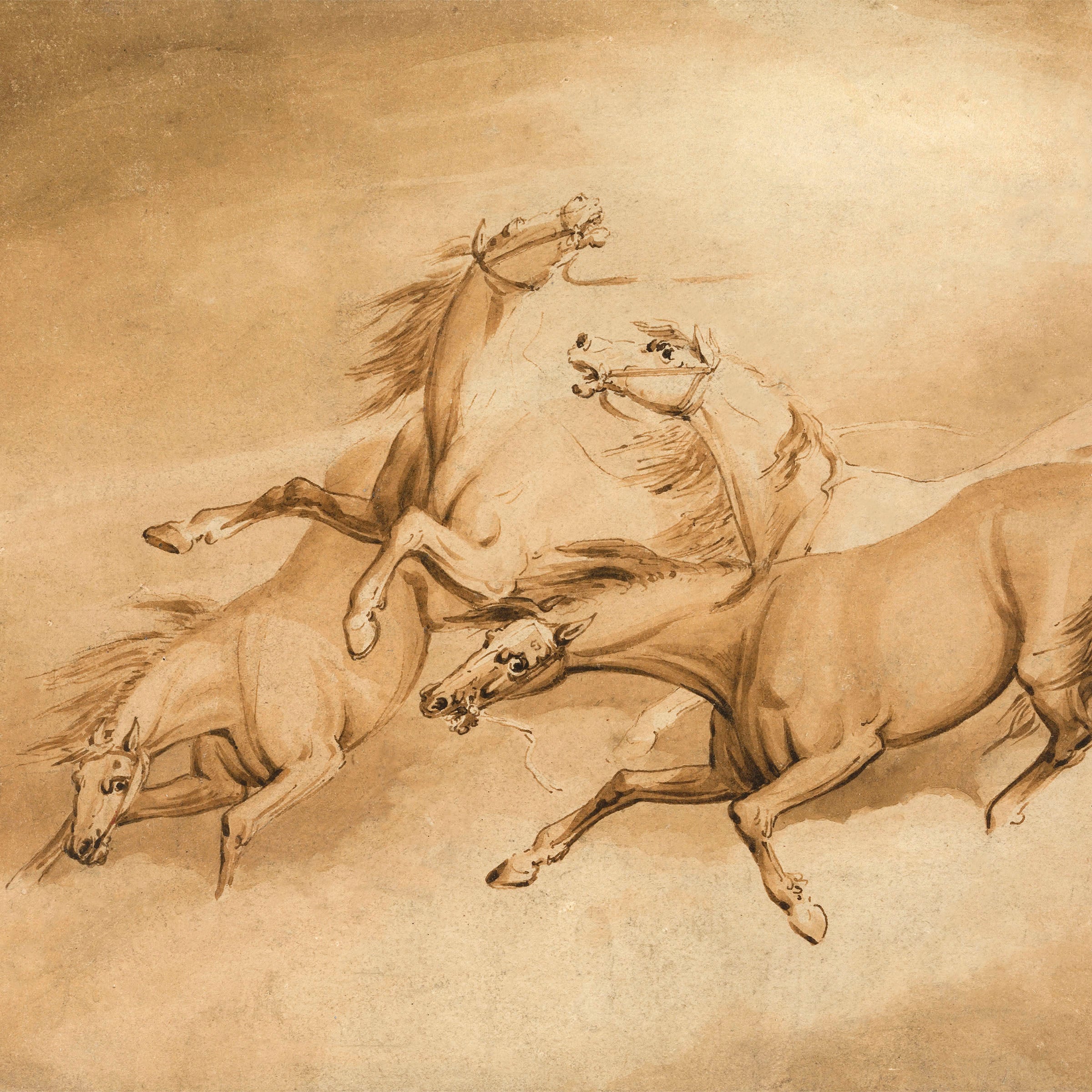 four galloping horses