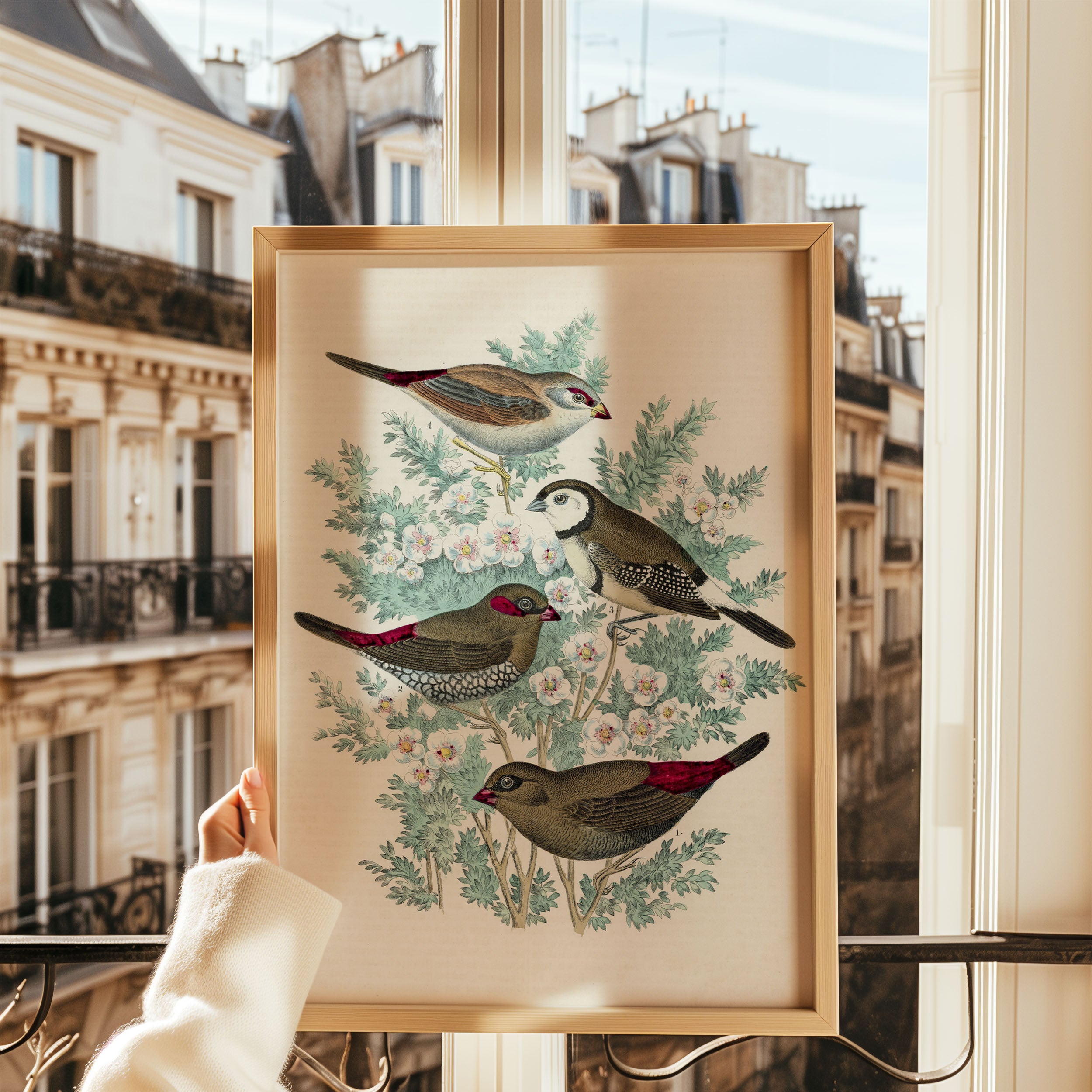 feathered friends