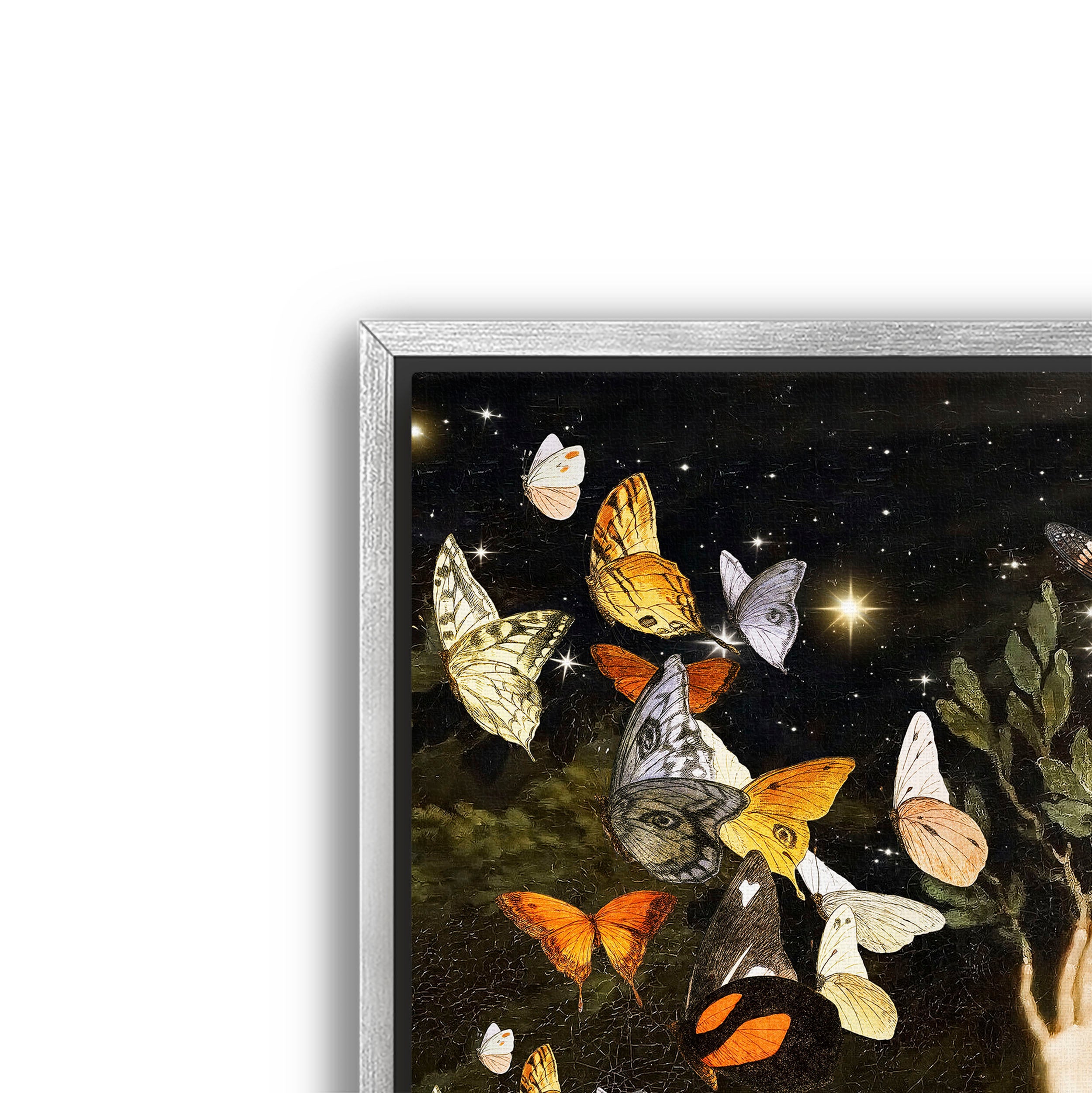 flight of the butterflies