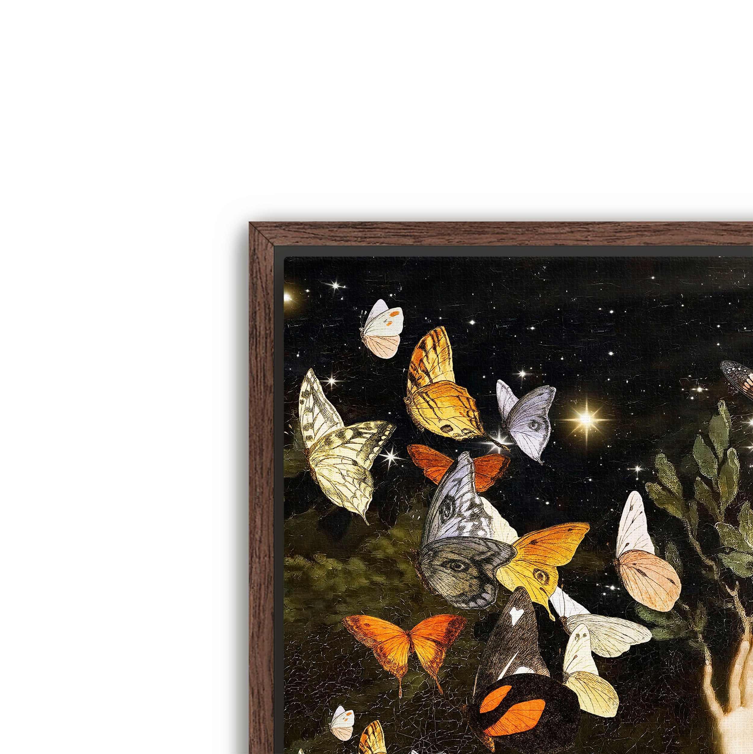 flight of the butterflies