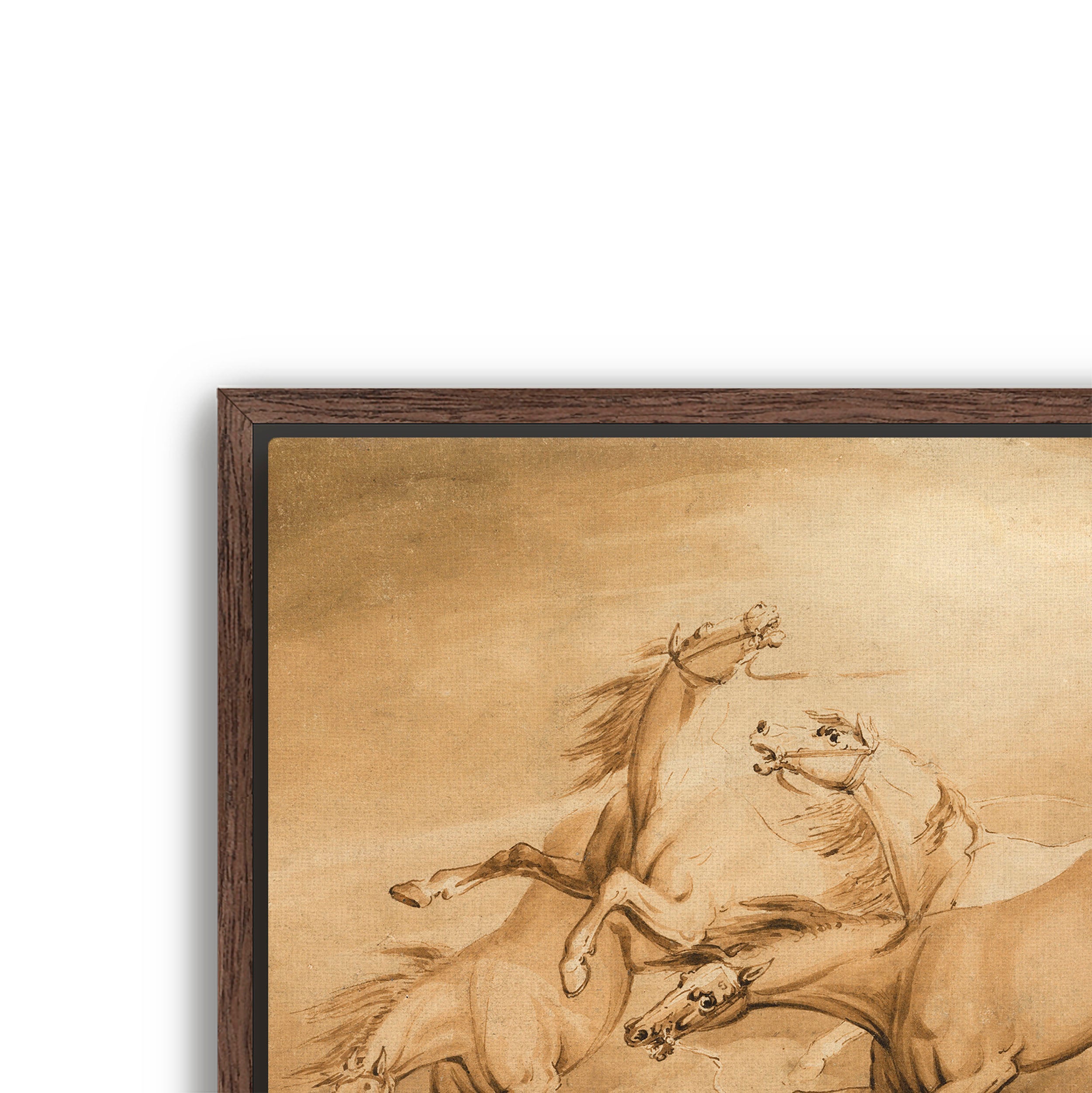 four galloping horses