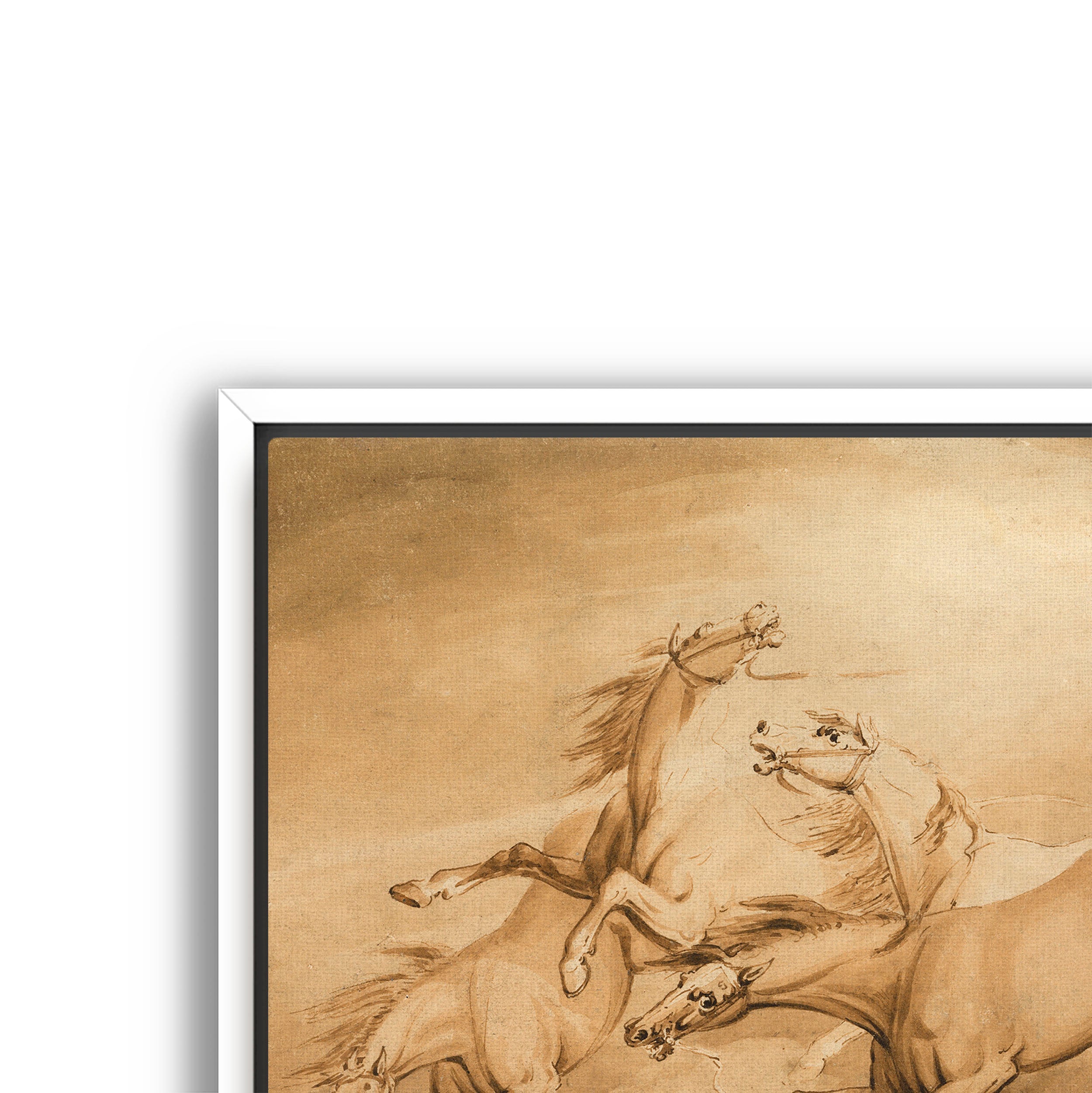 four galloping horses
