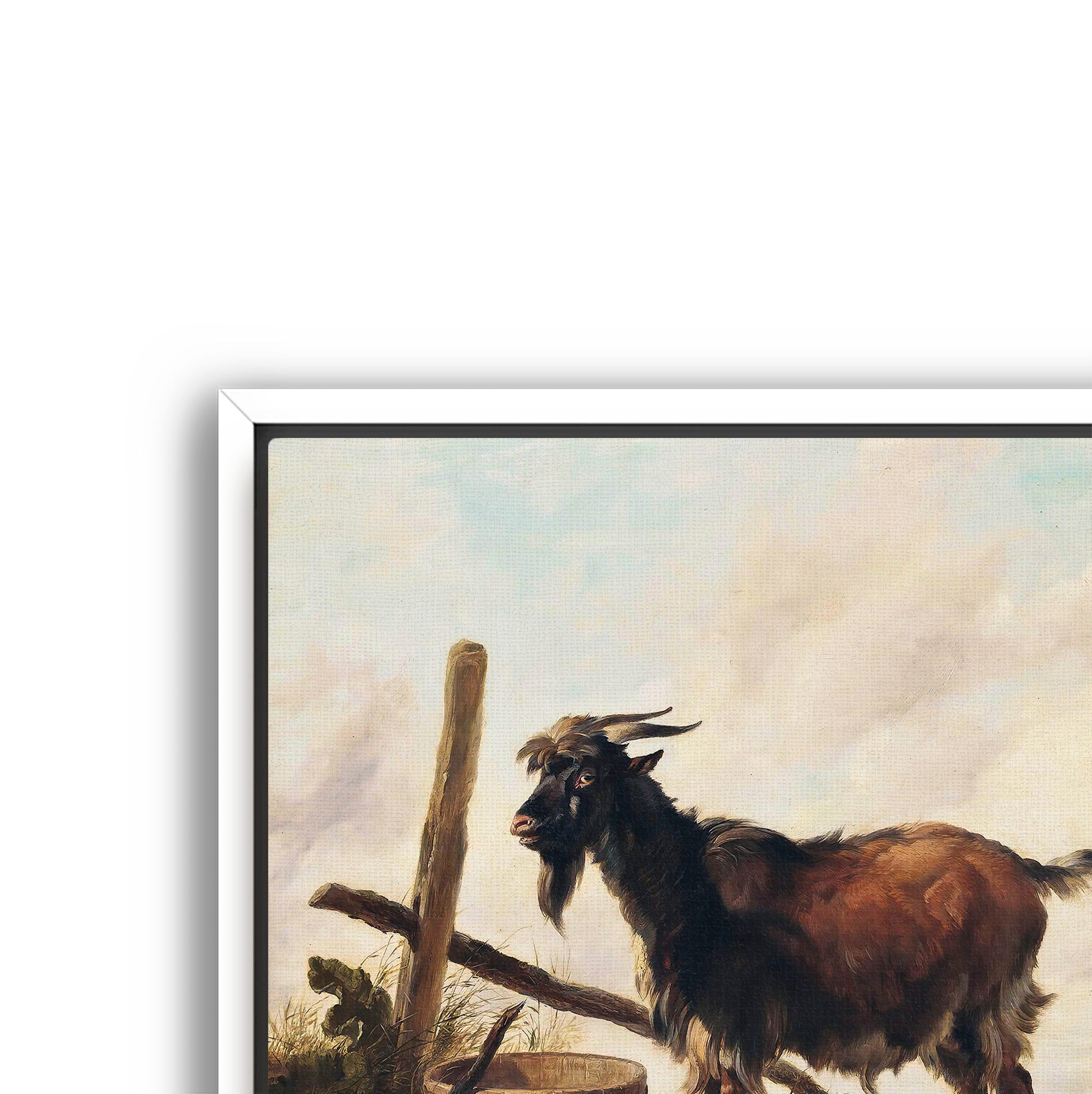 goat in the landscape