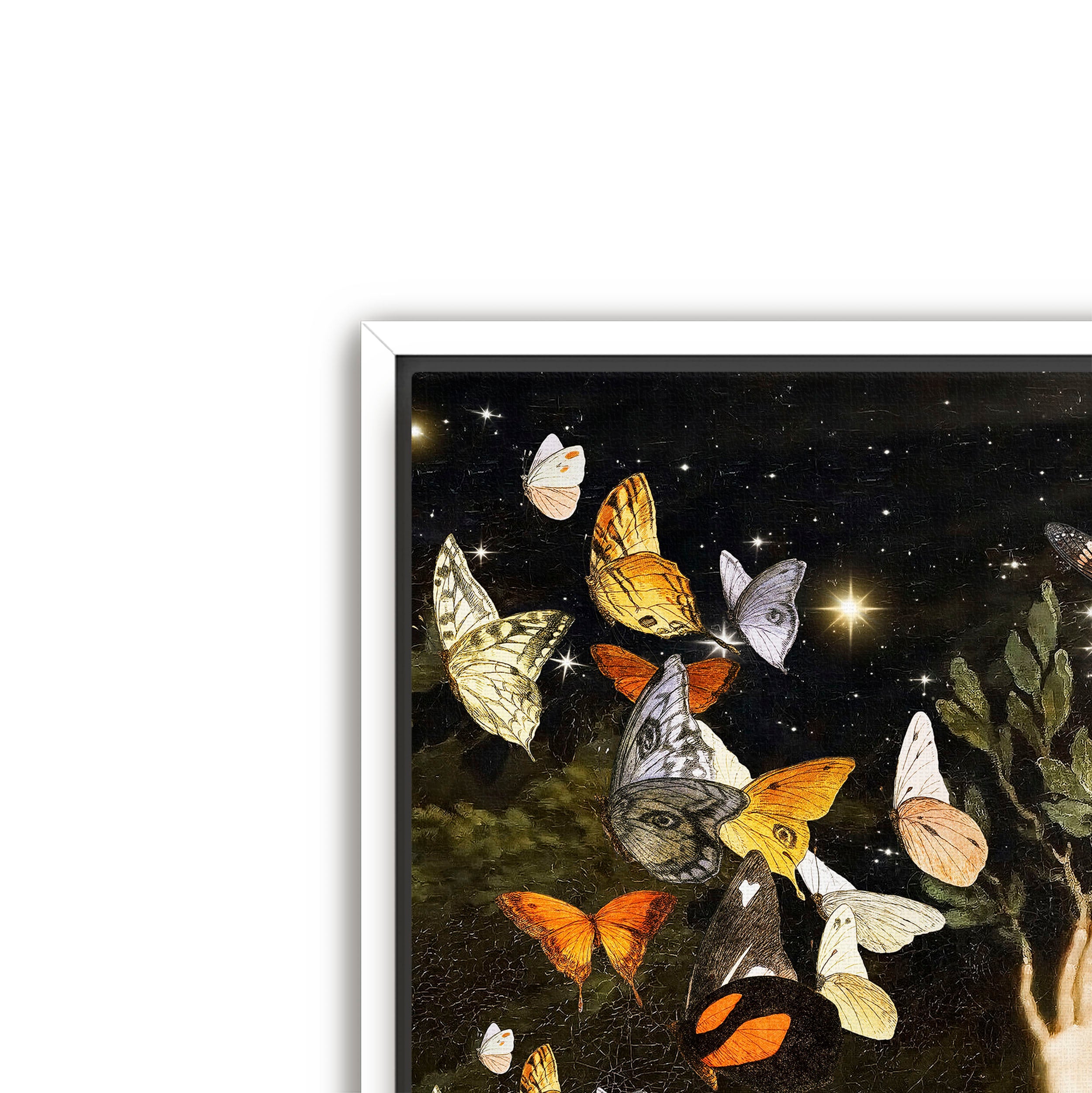 flight of the butterflies