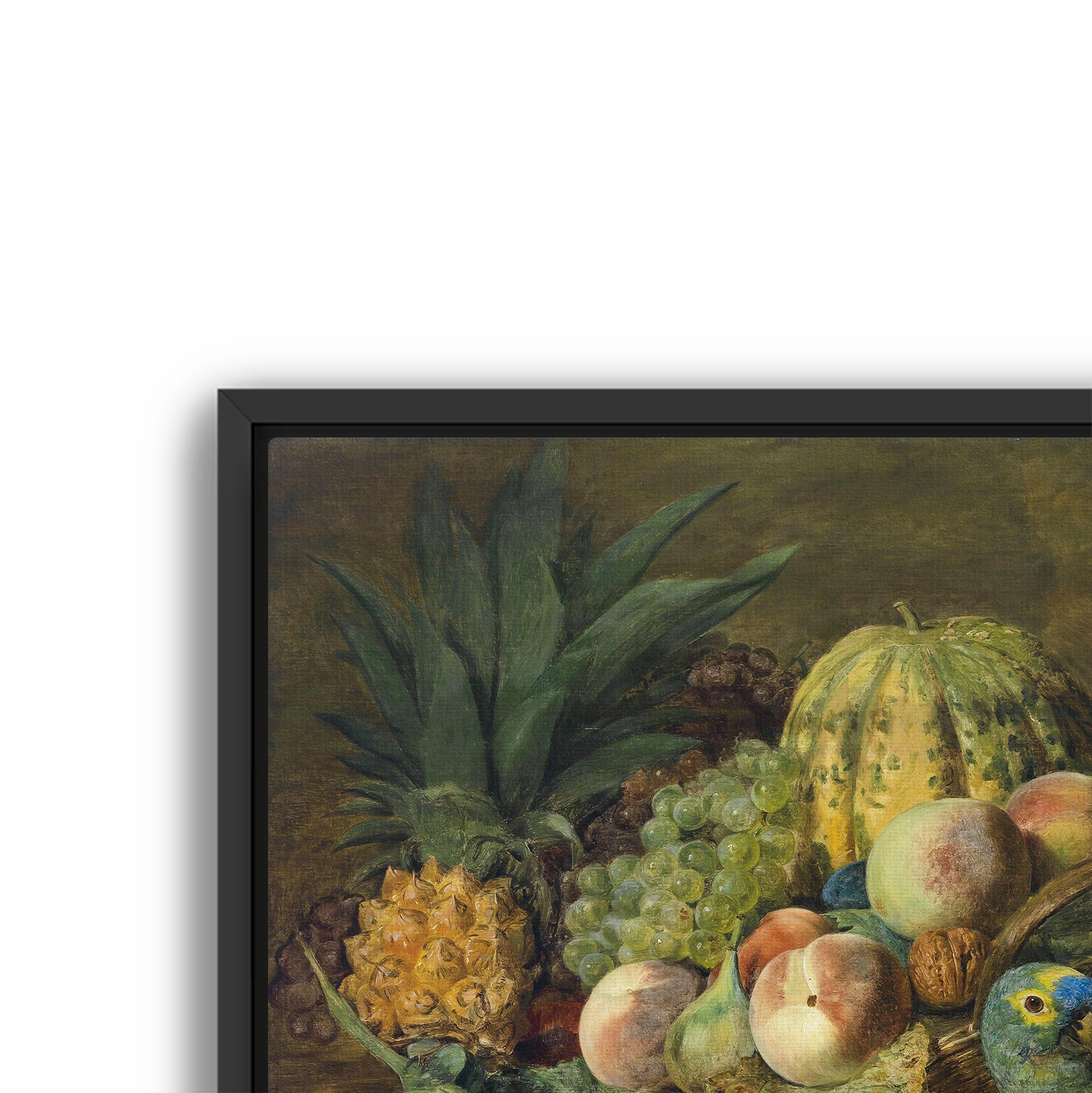 fruit with parrot