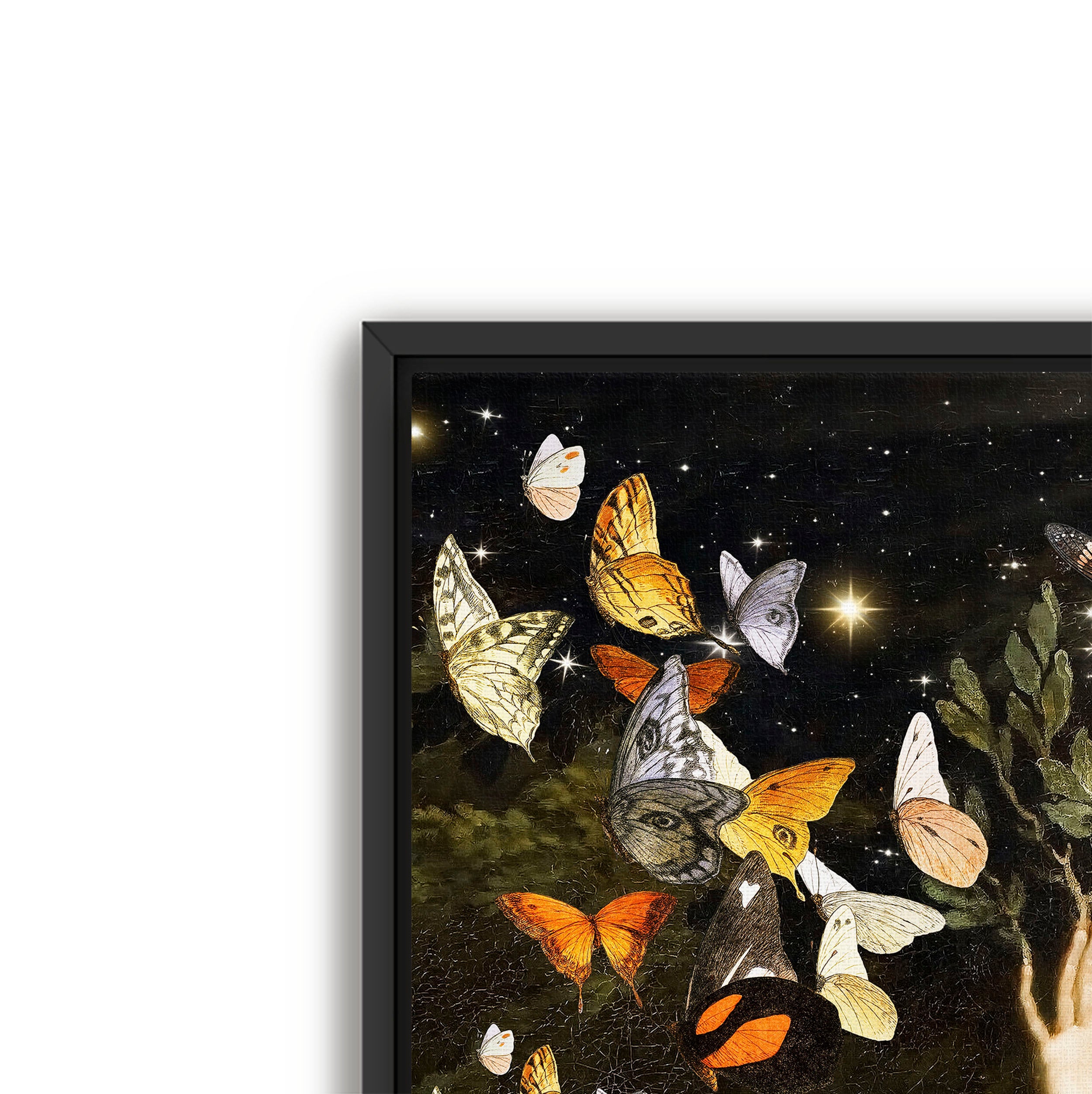 flight of the butterflies