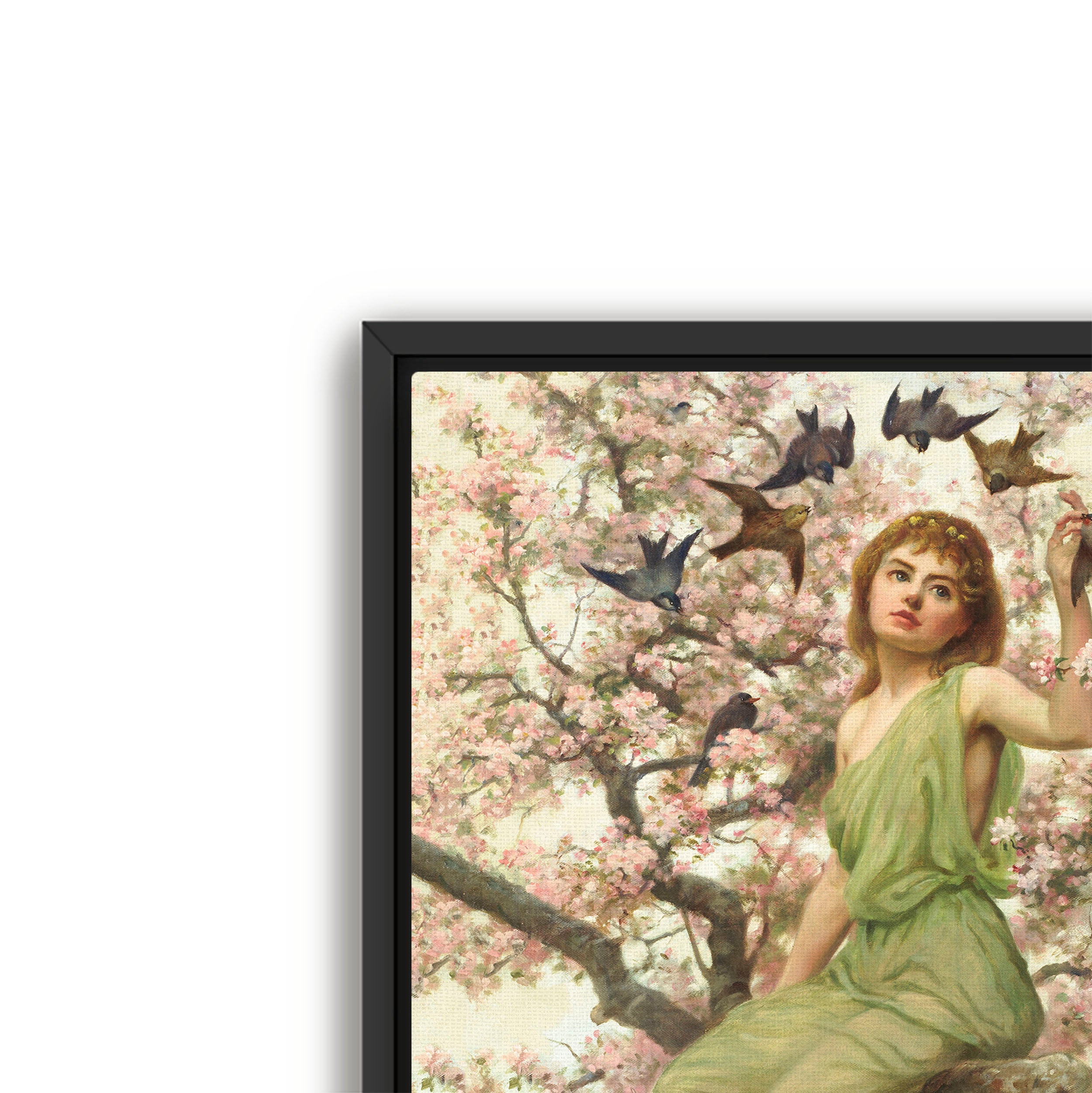 birds of spring
