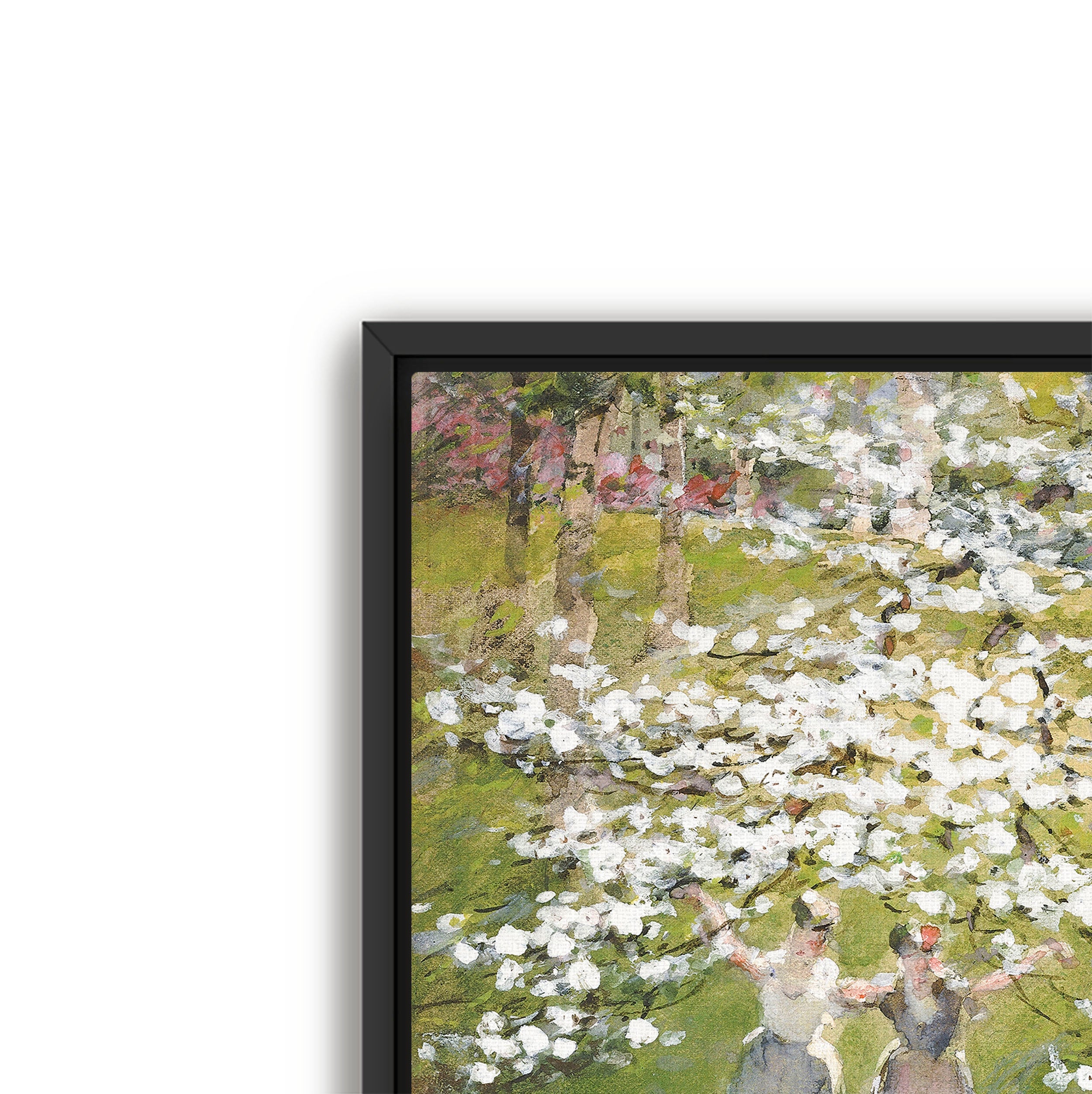 blossoms