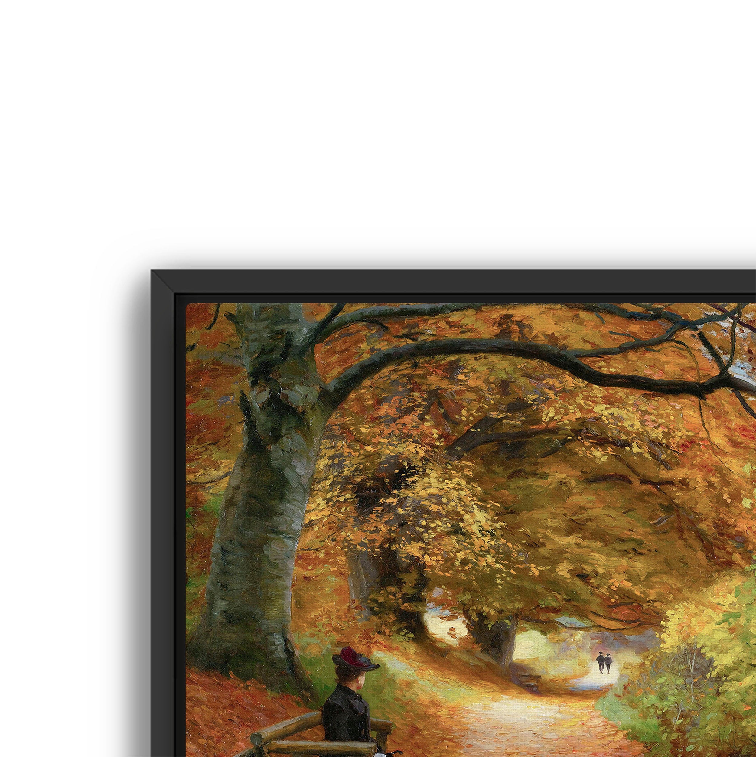 wooded autumn path
