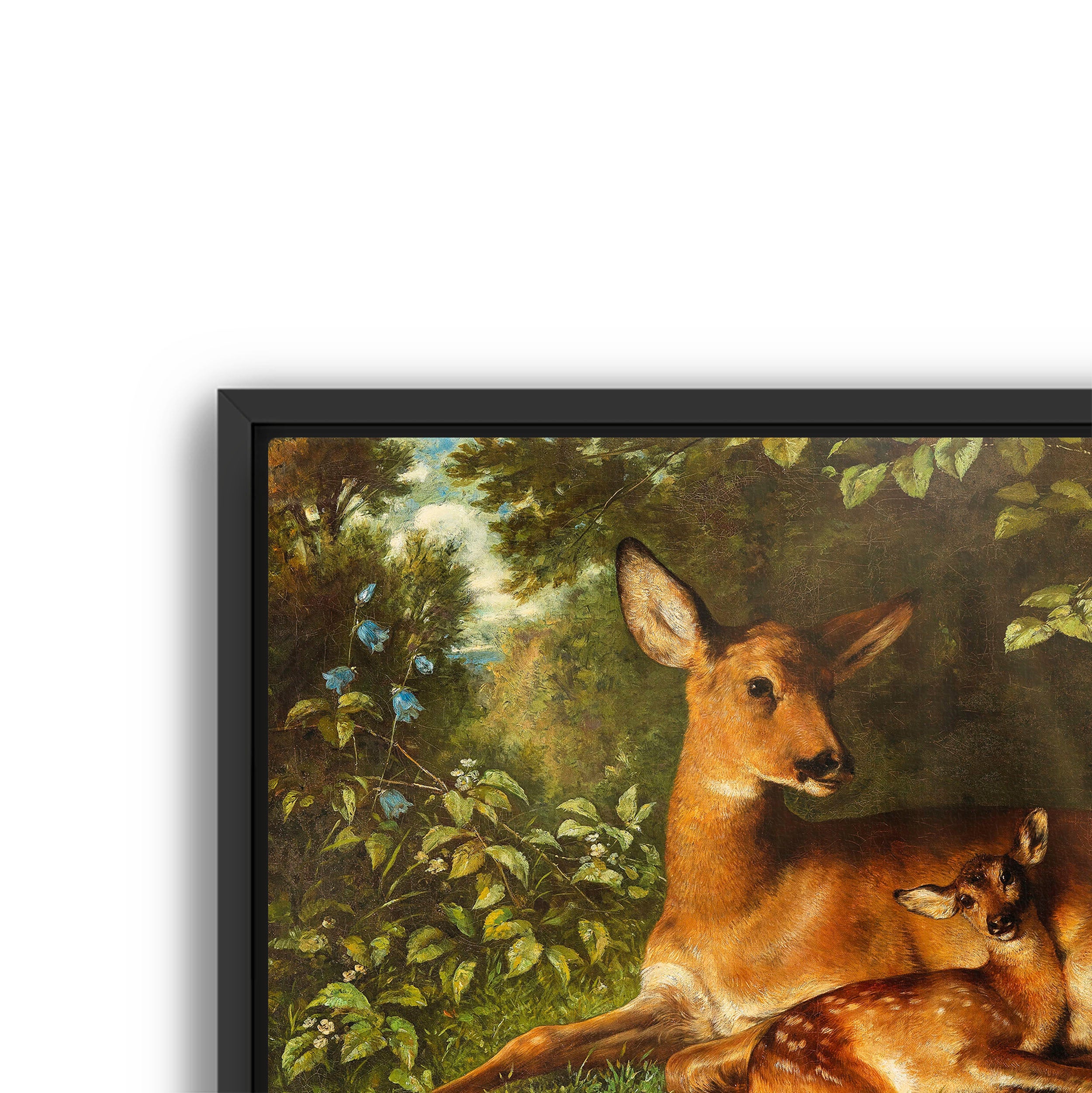a doe with fawn
