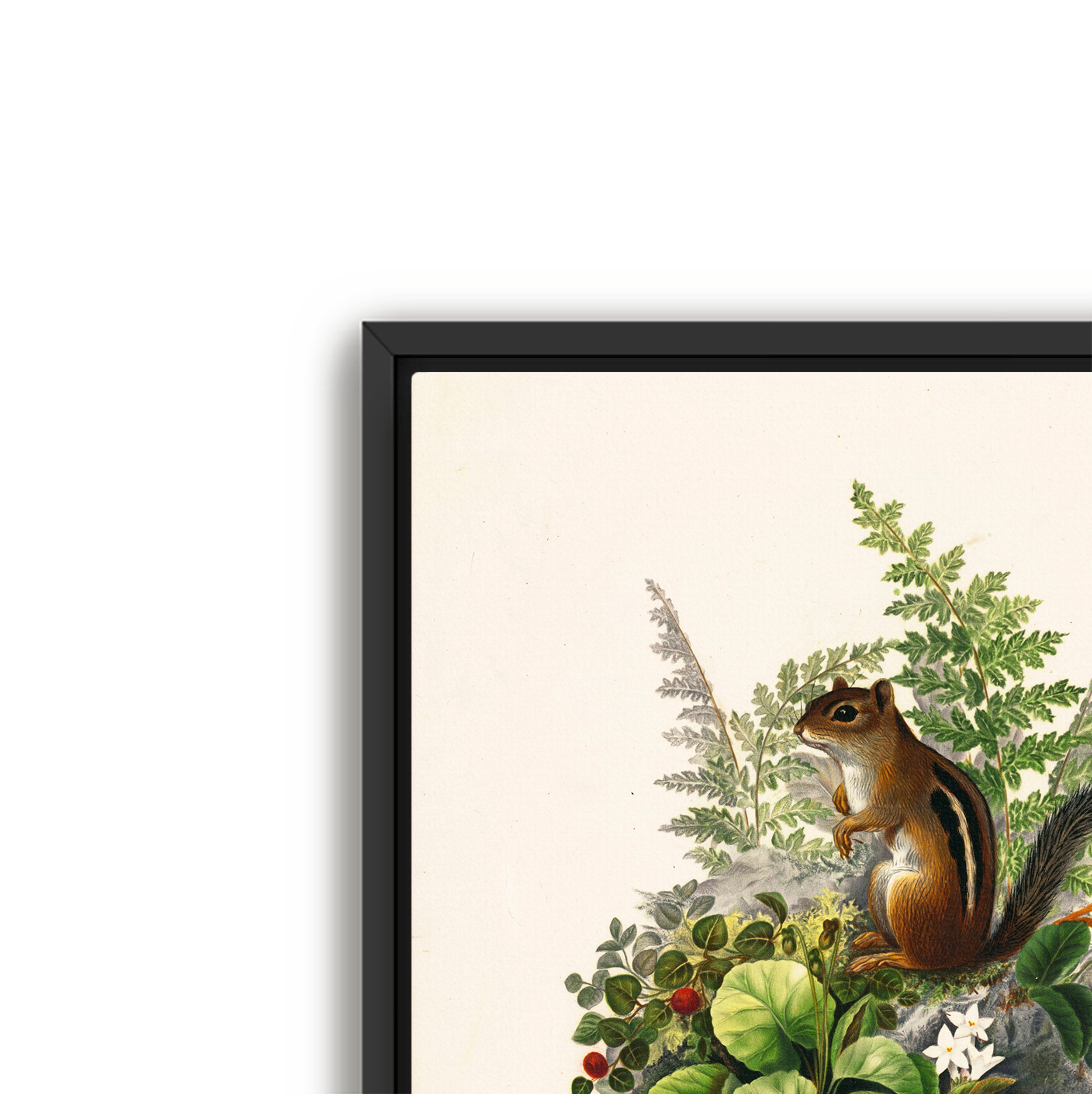alvin