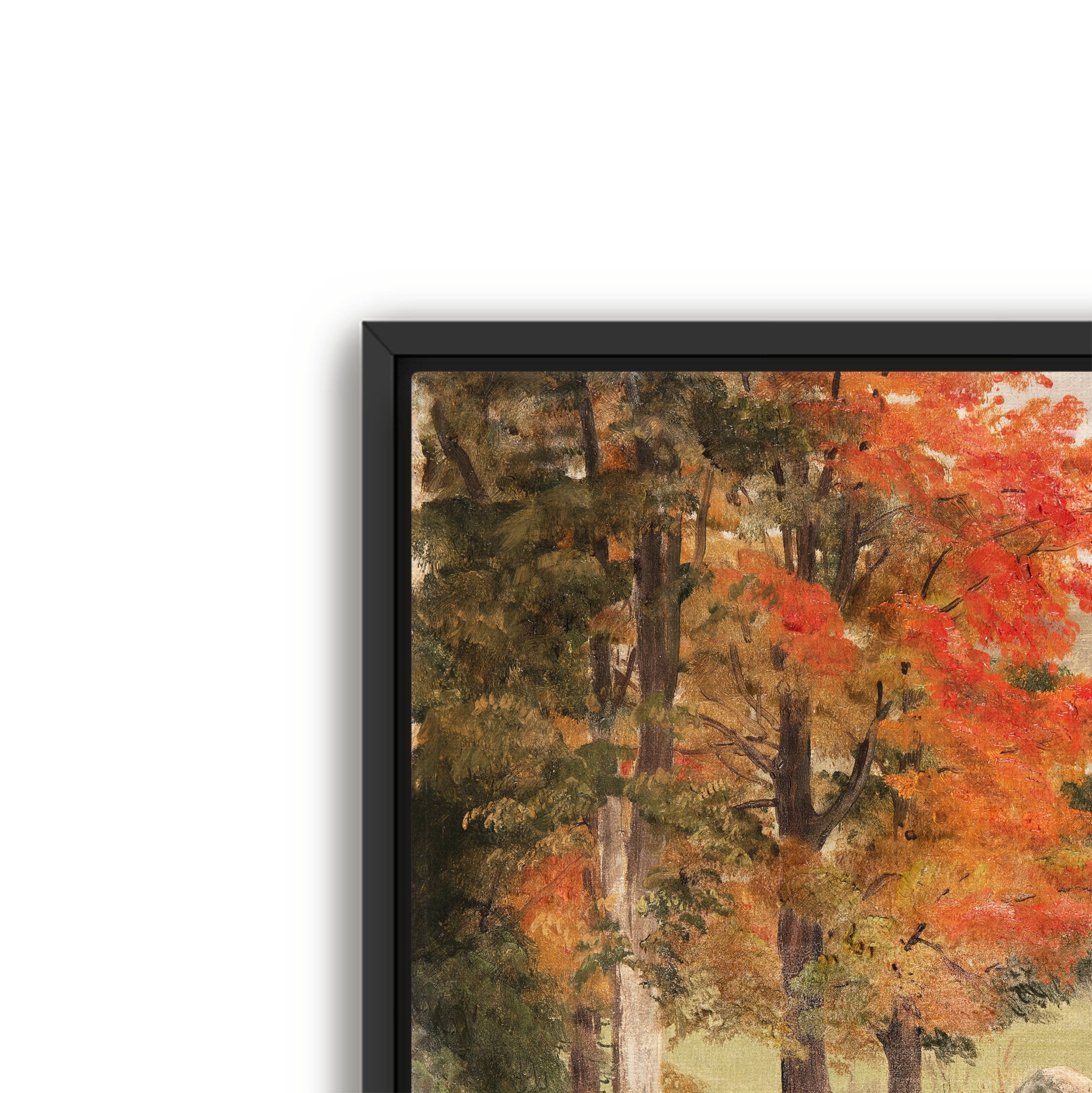 woods in autumn