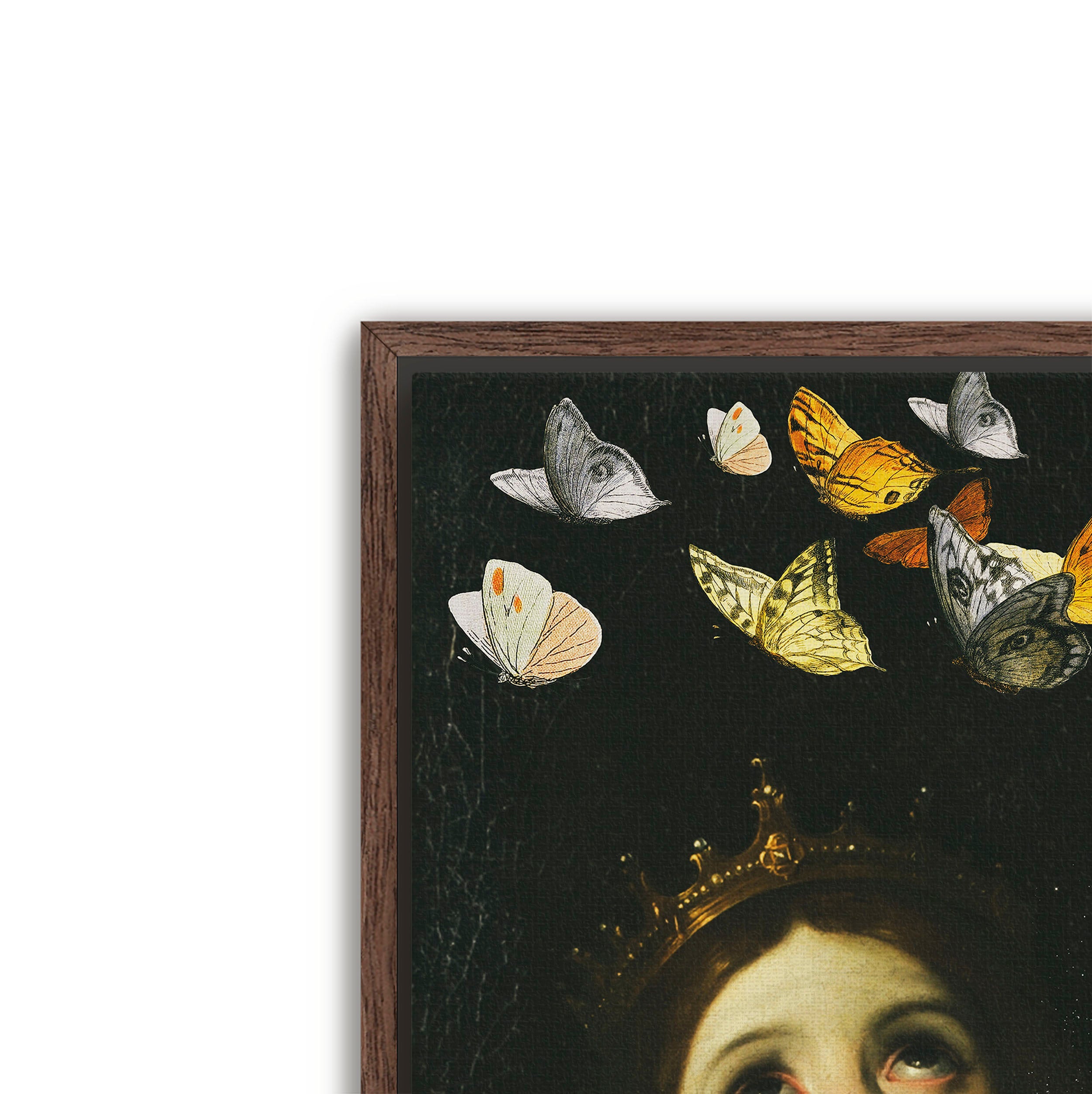 butterfly princess