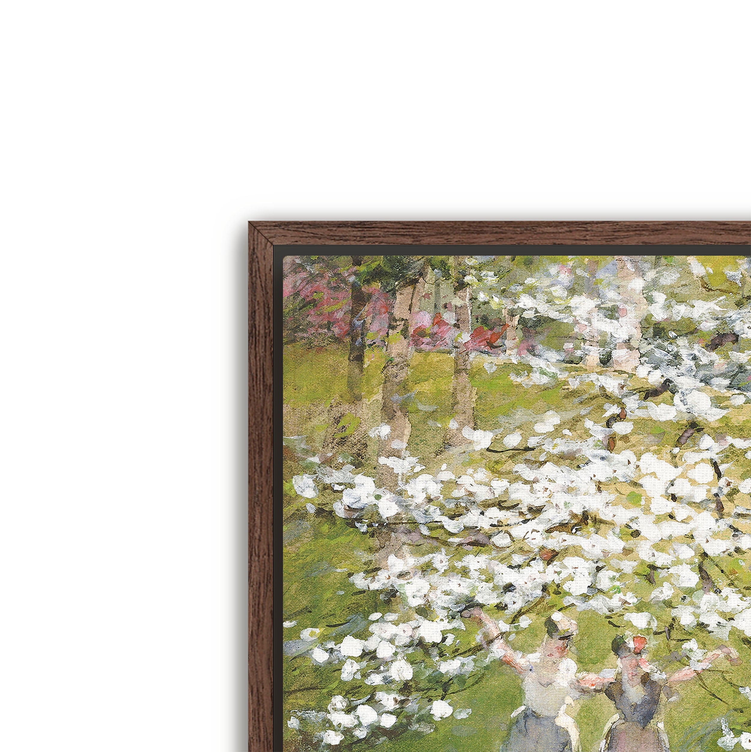 blossoms