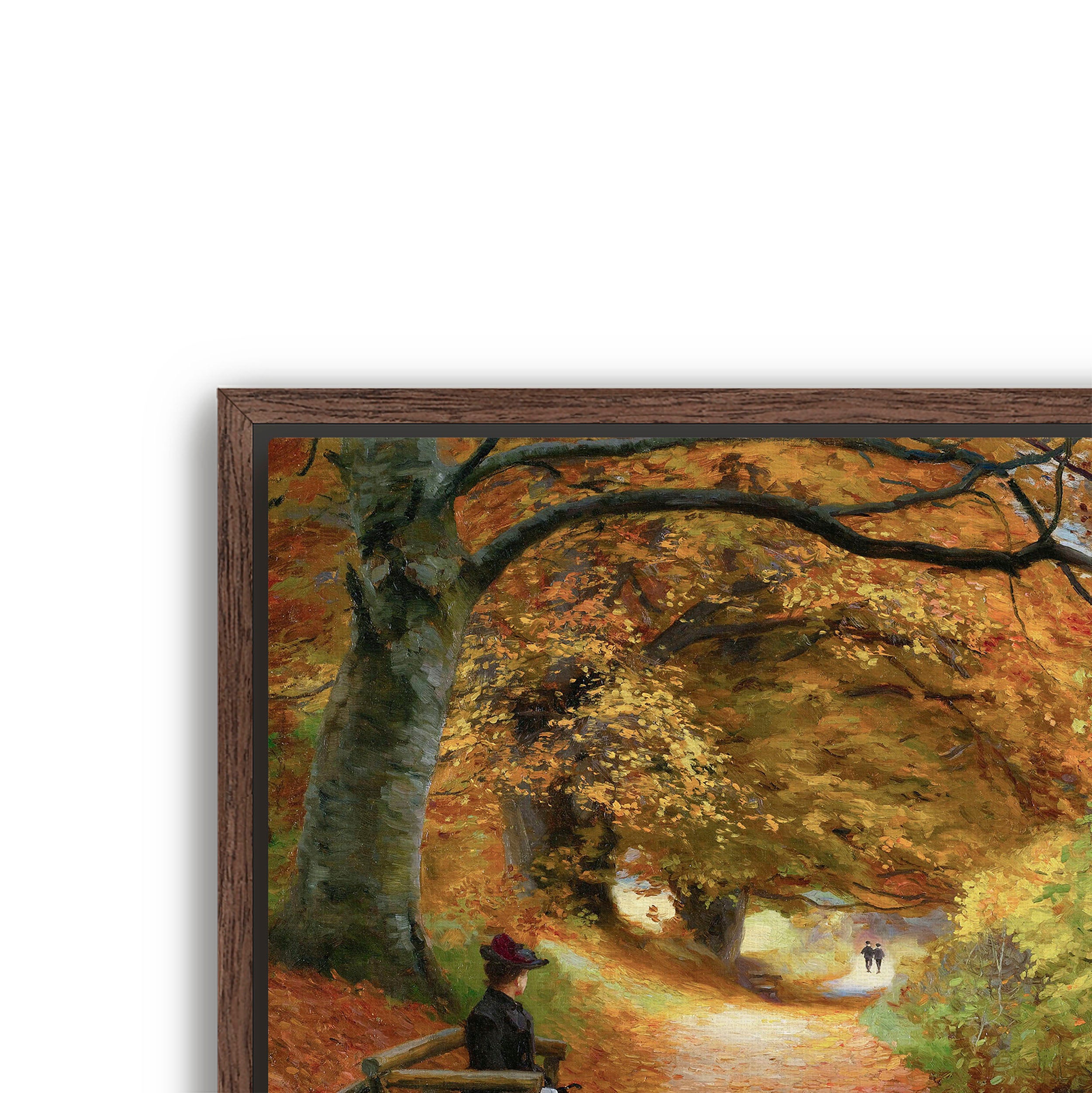 wooded autumn path