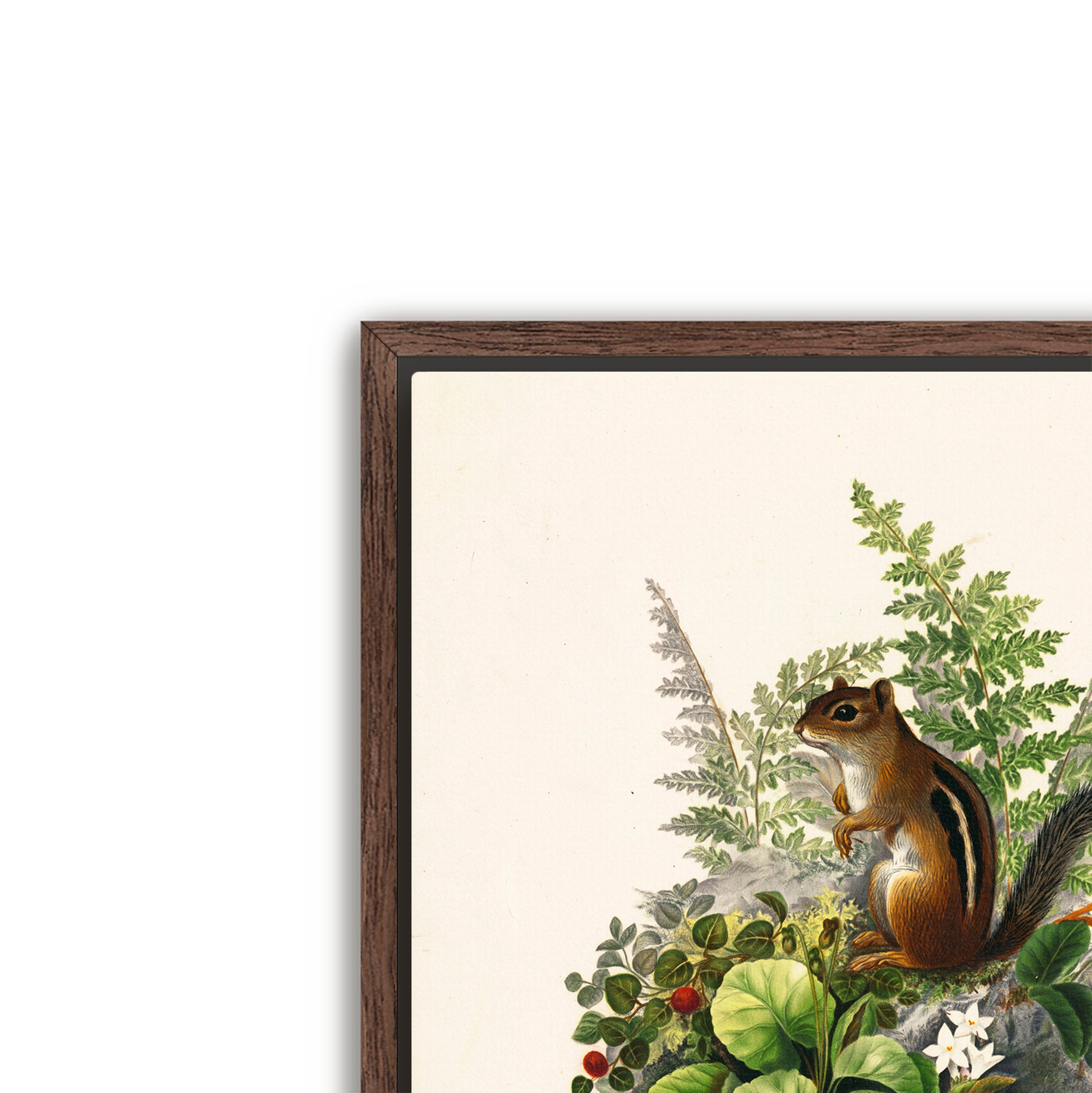alvin