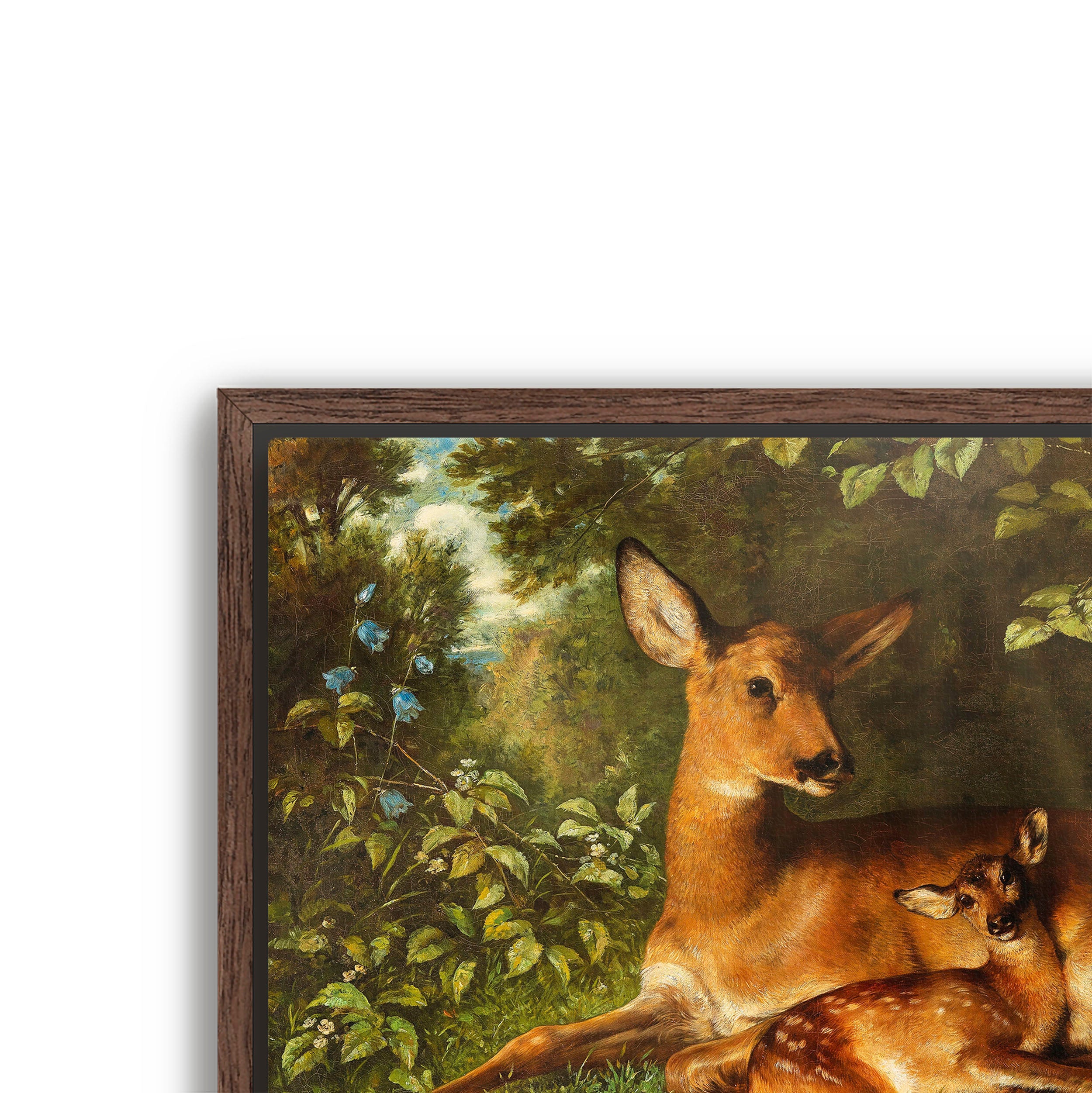 a doe with fawn
