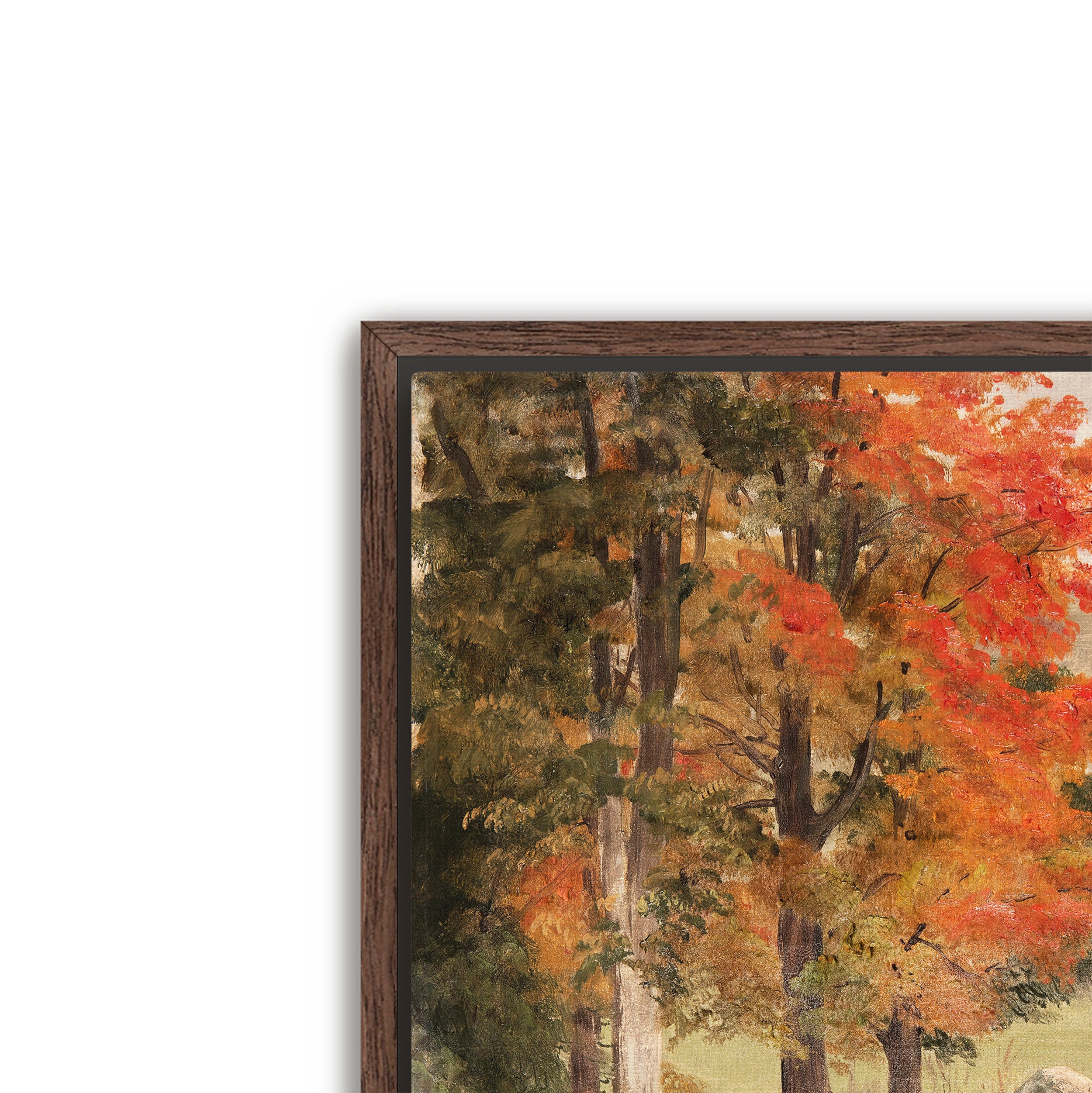 woods in autumn