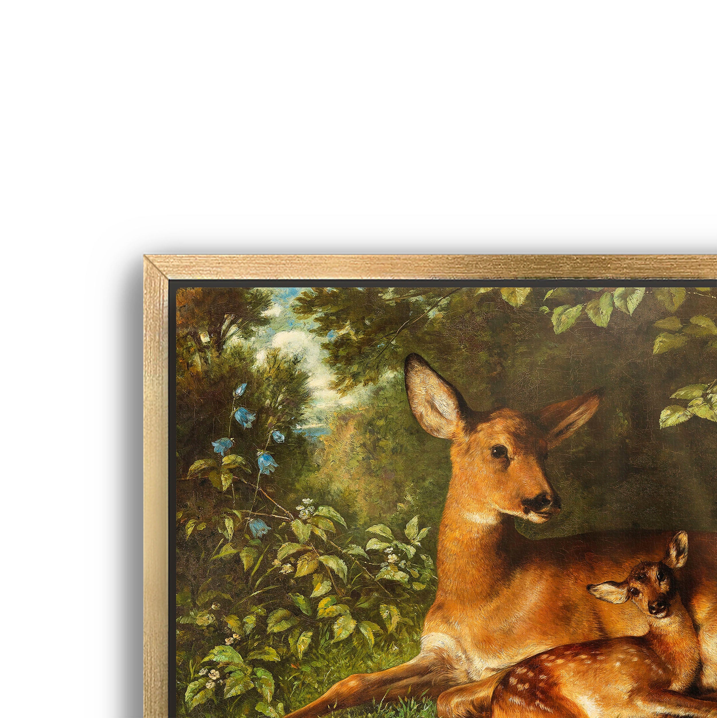 a doe with fawn