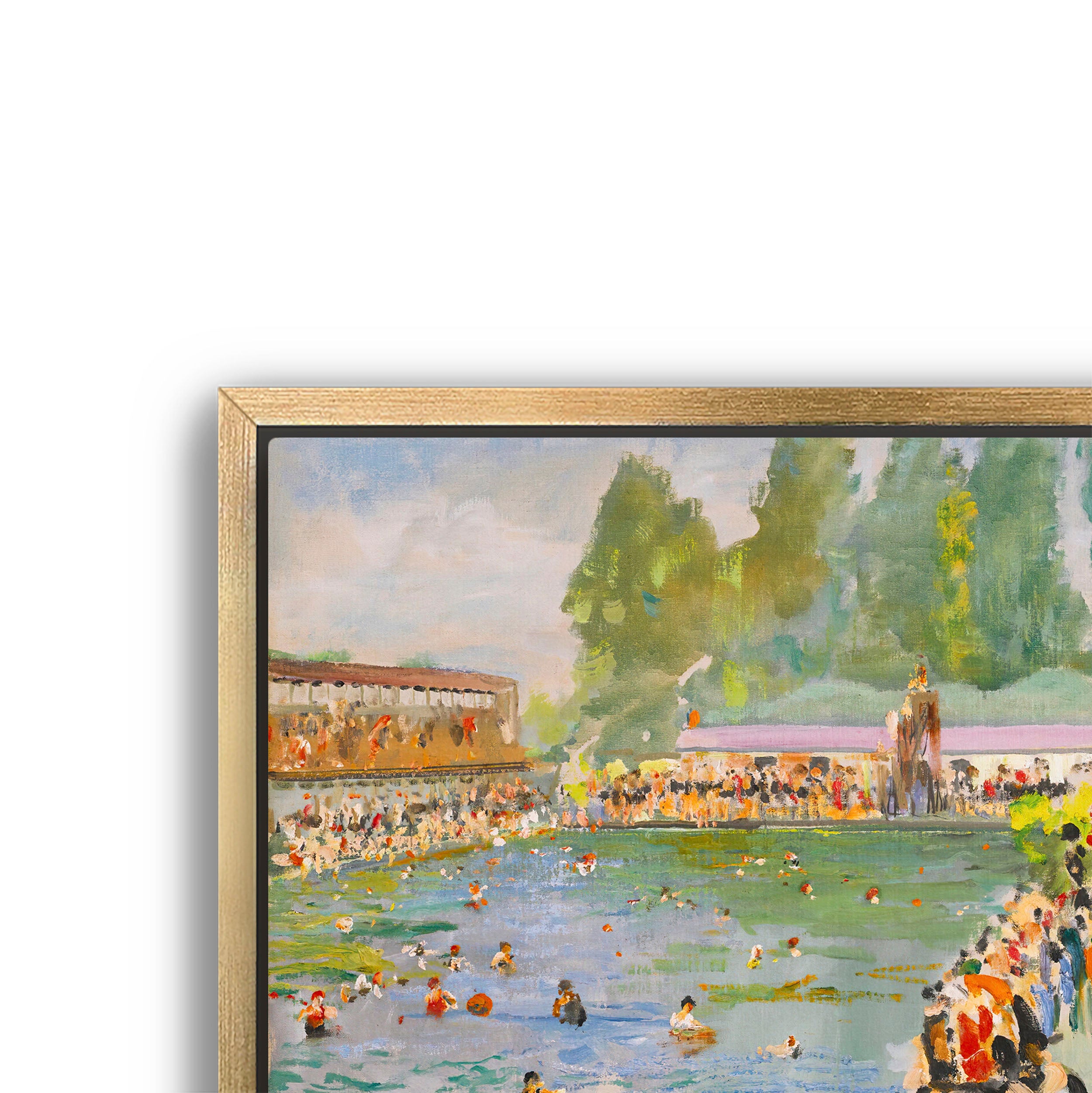 a summer swim