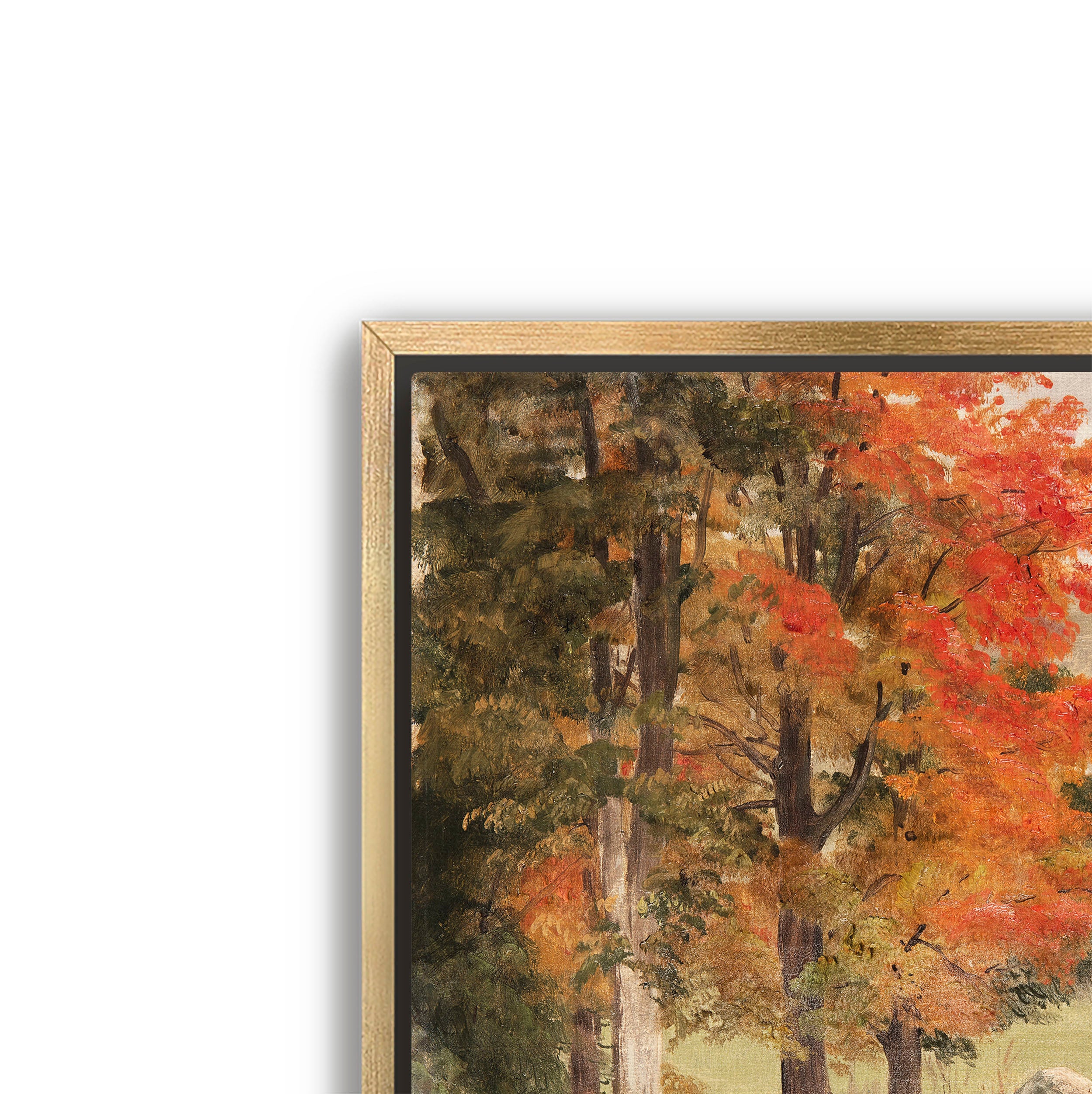 woods in autumn
