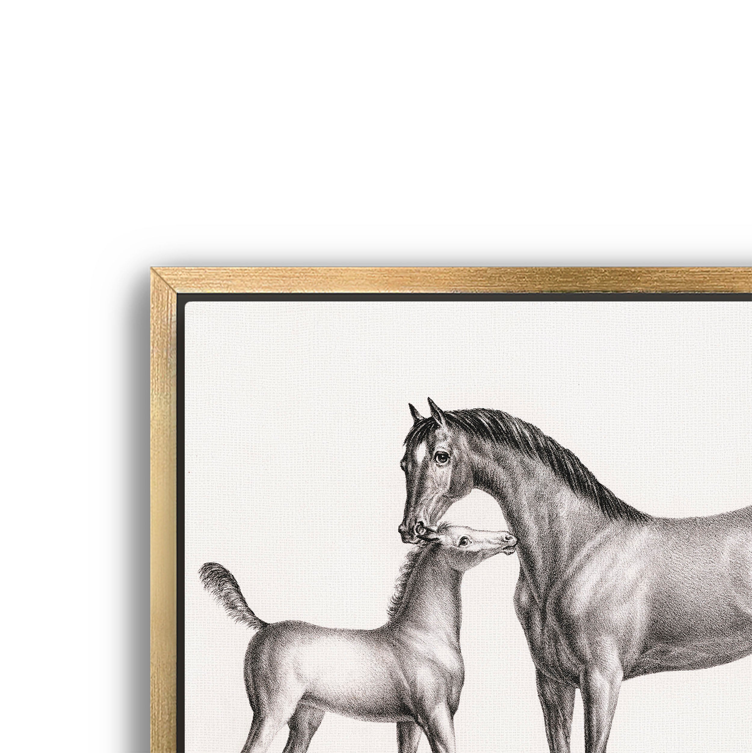 eclipse and her foal