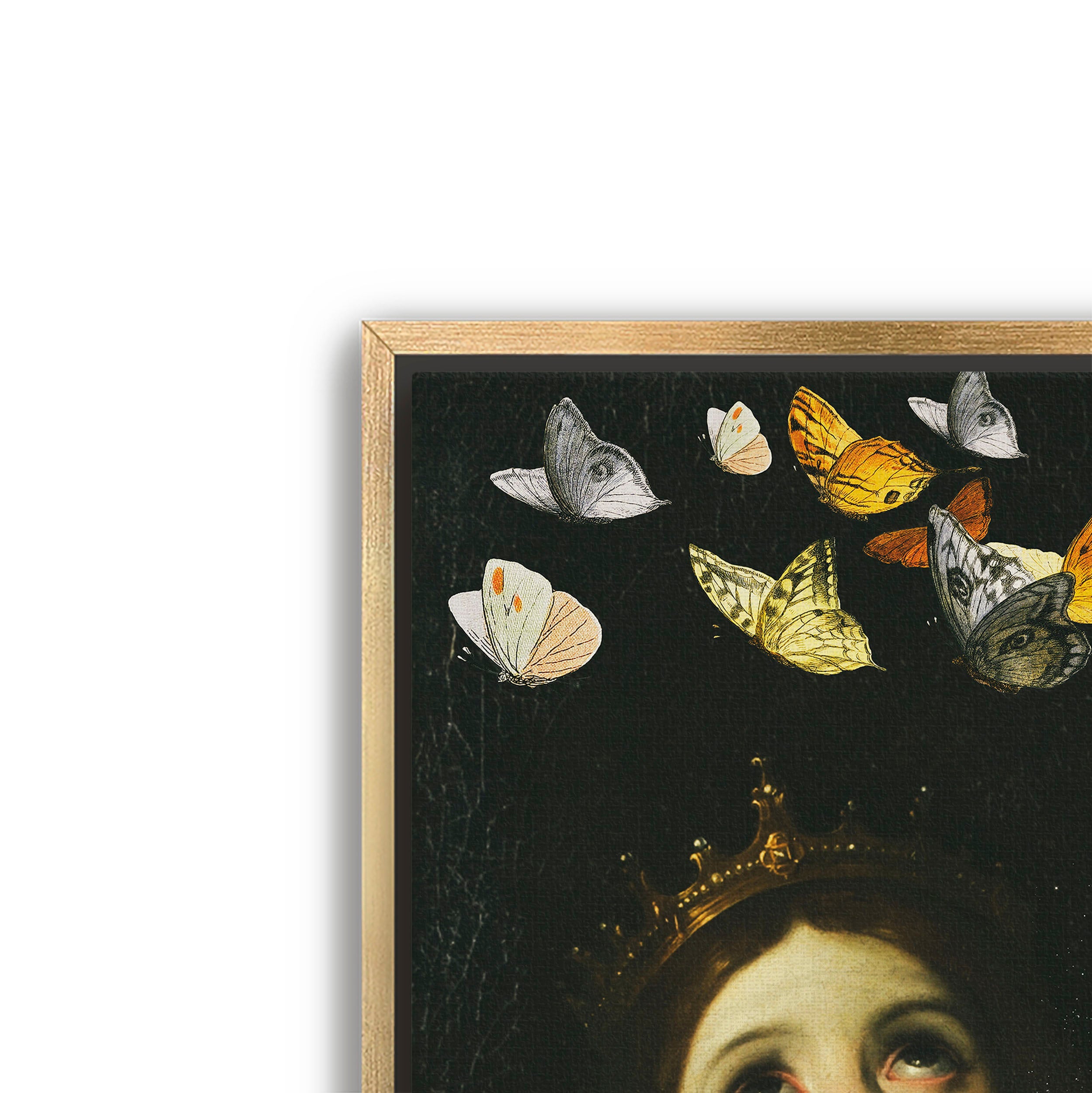 butterfly princess