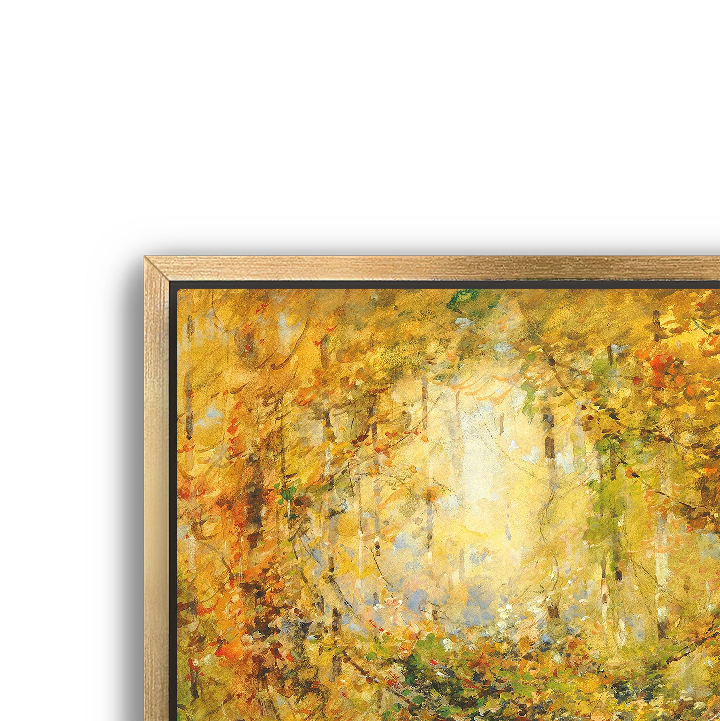 autumn tangle