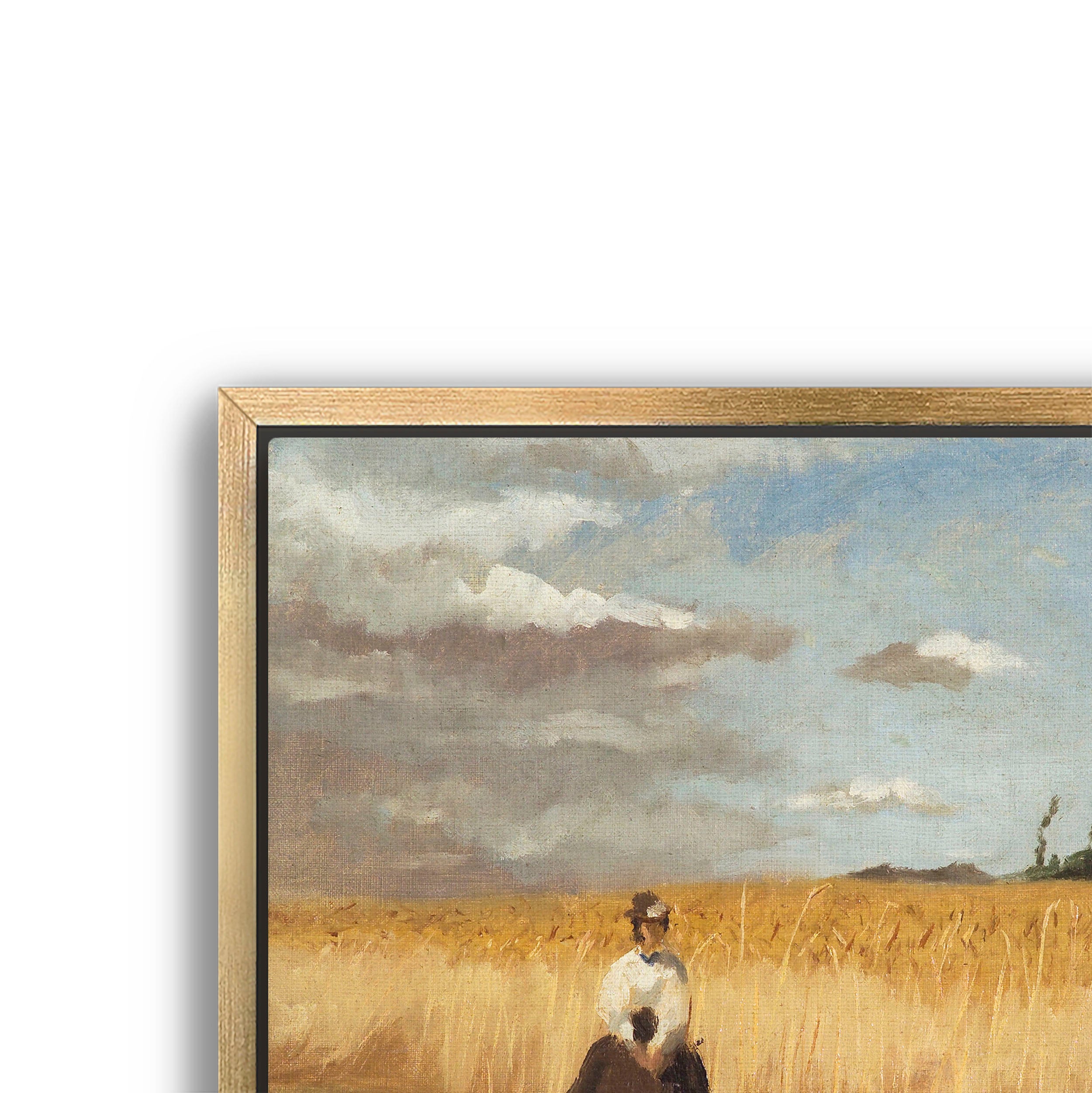 woman in wheat field