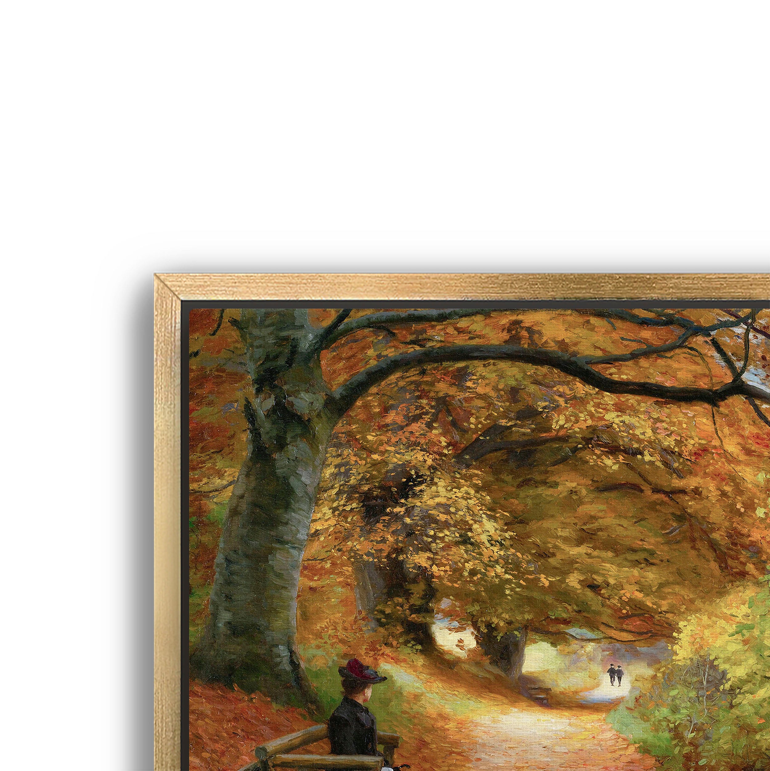 wooded autumn path