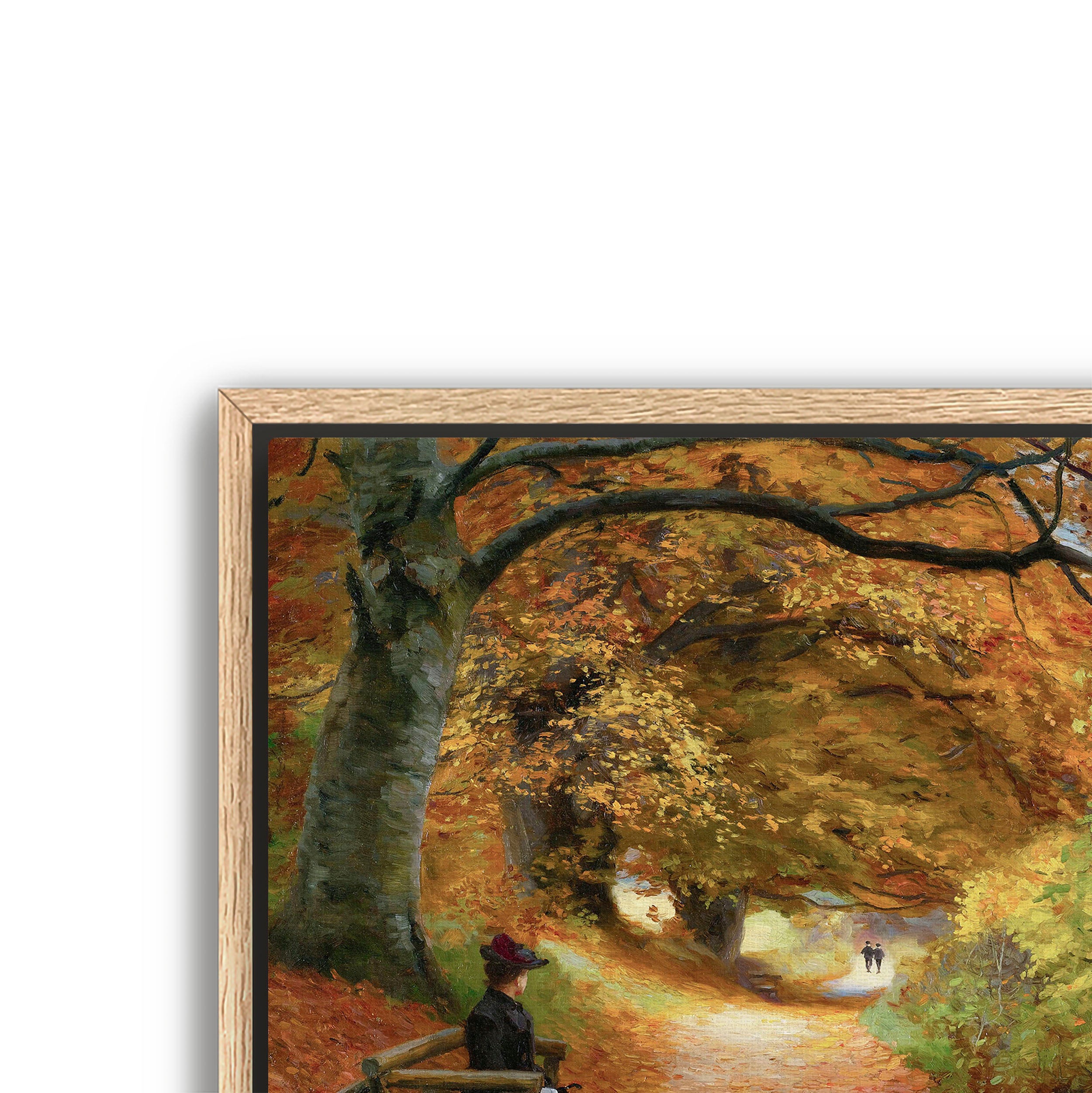 wooded autumn path