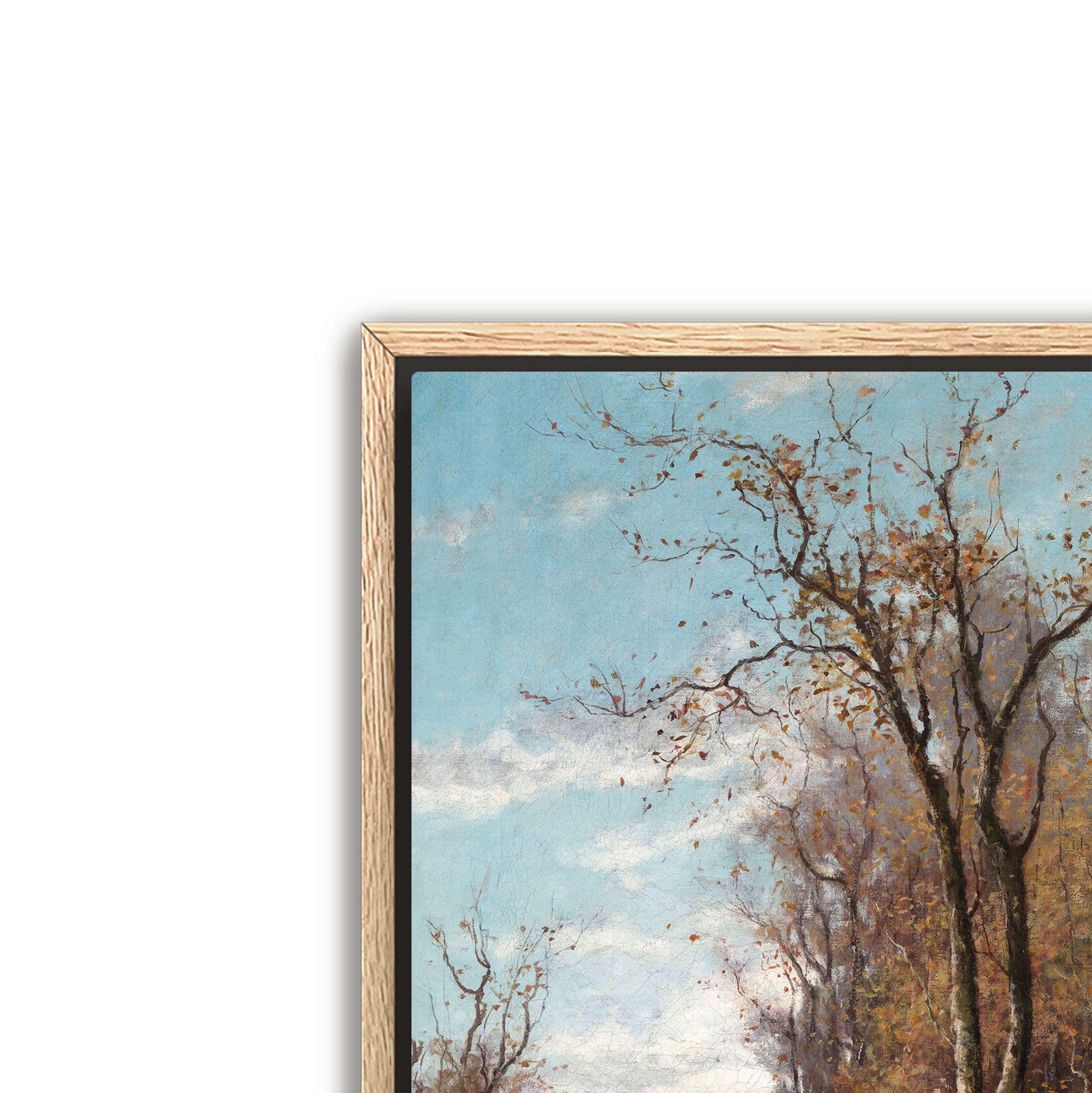 autumn landscape