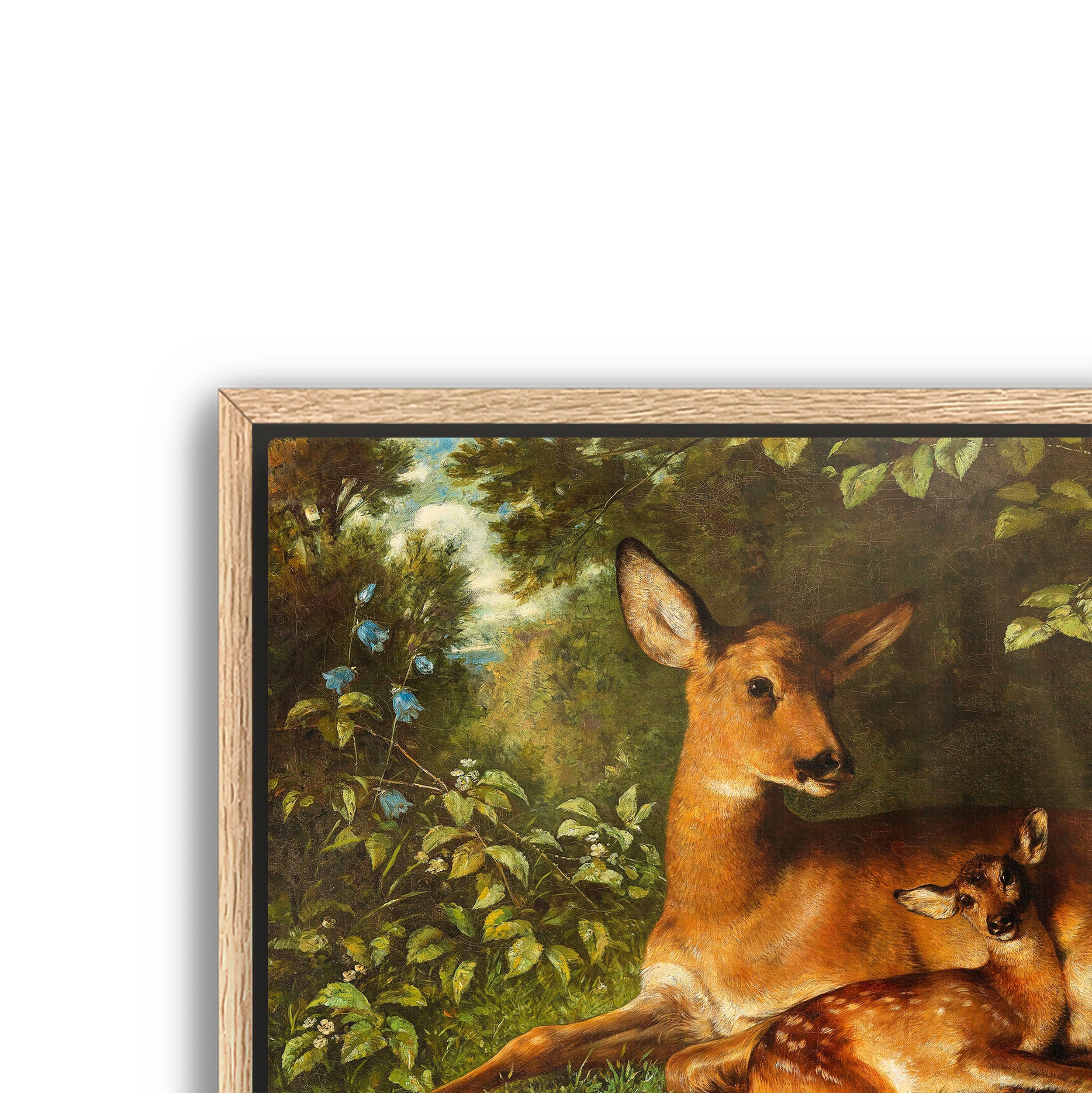 a doe with fawn