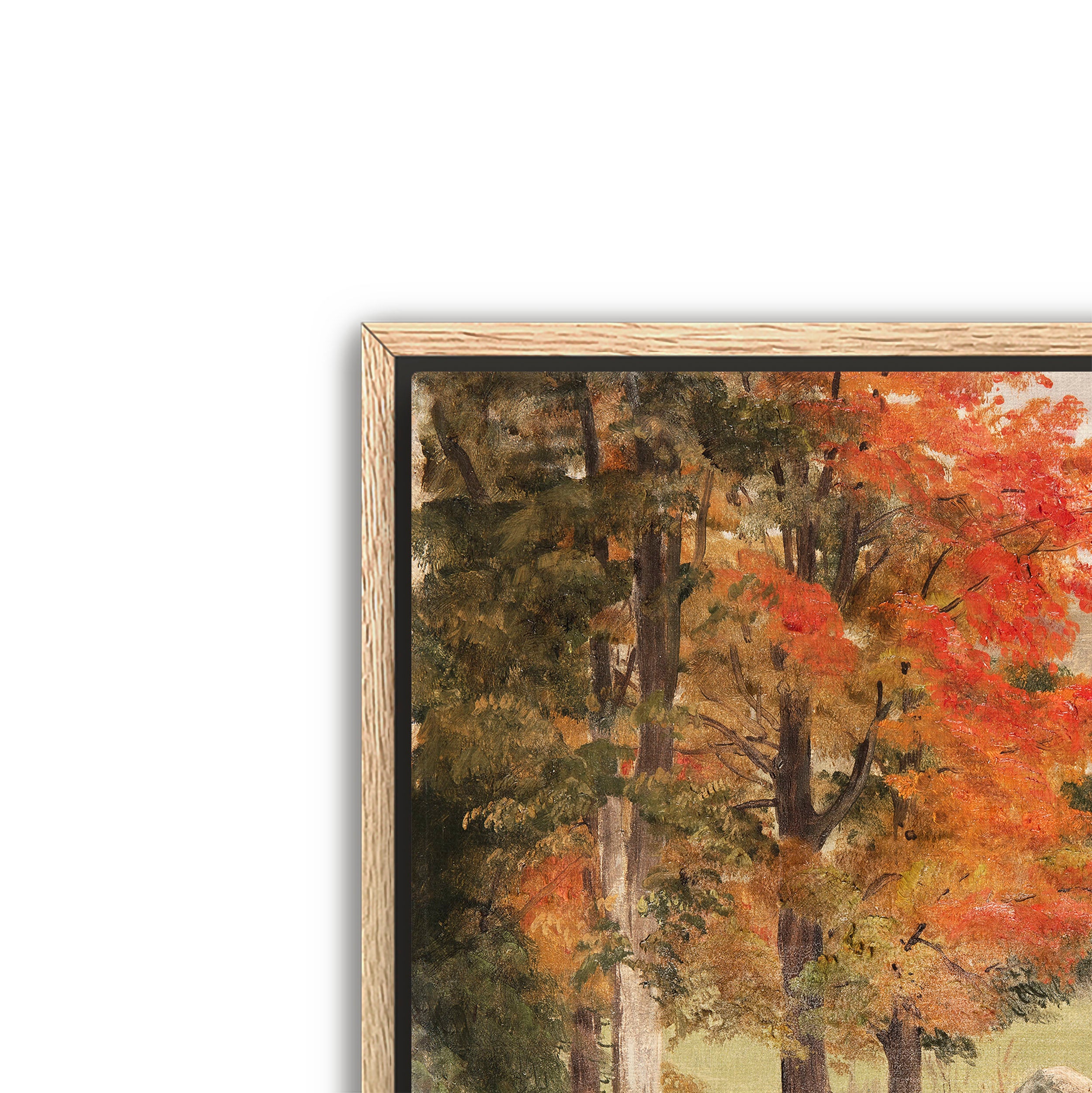 woods in autumn