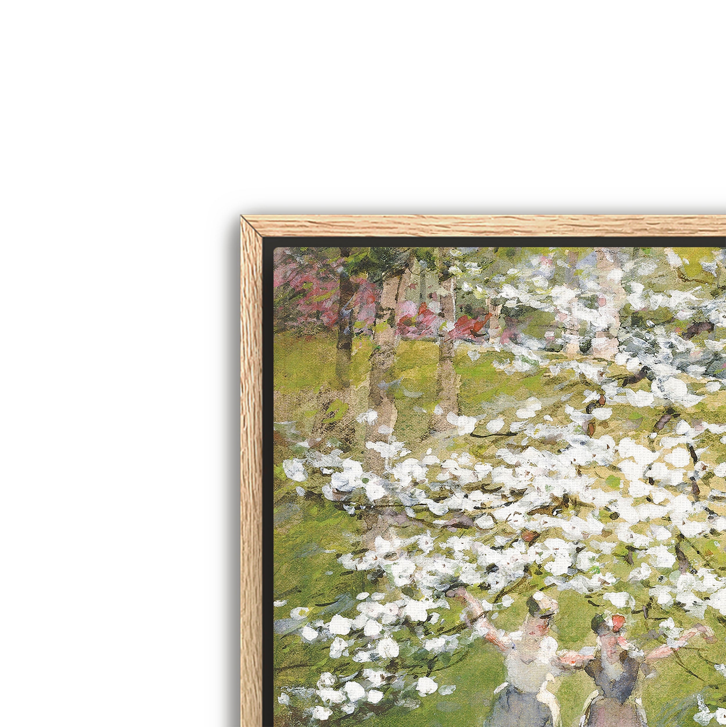 blossoms