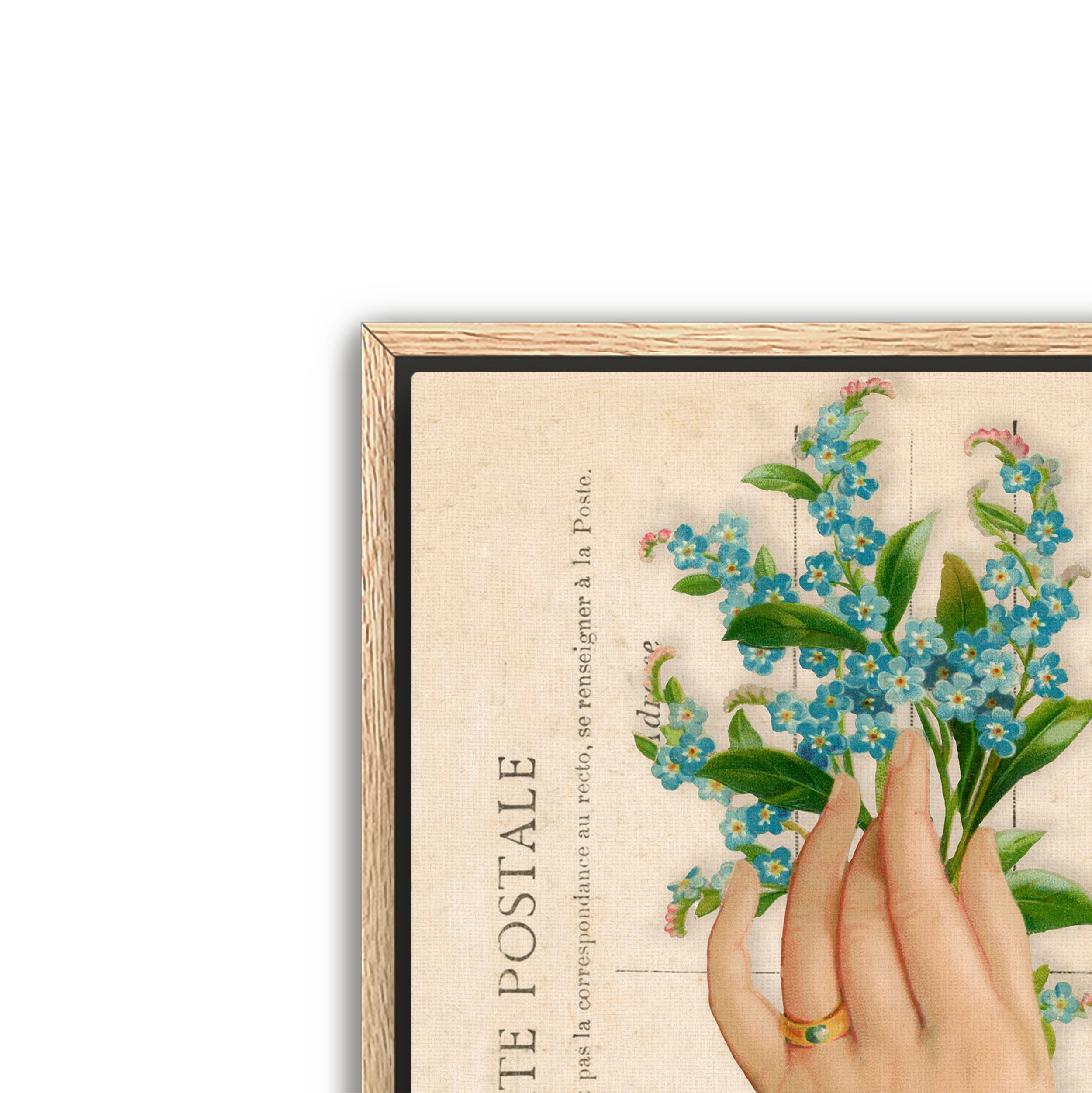 carte postale