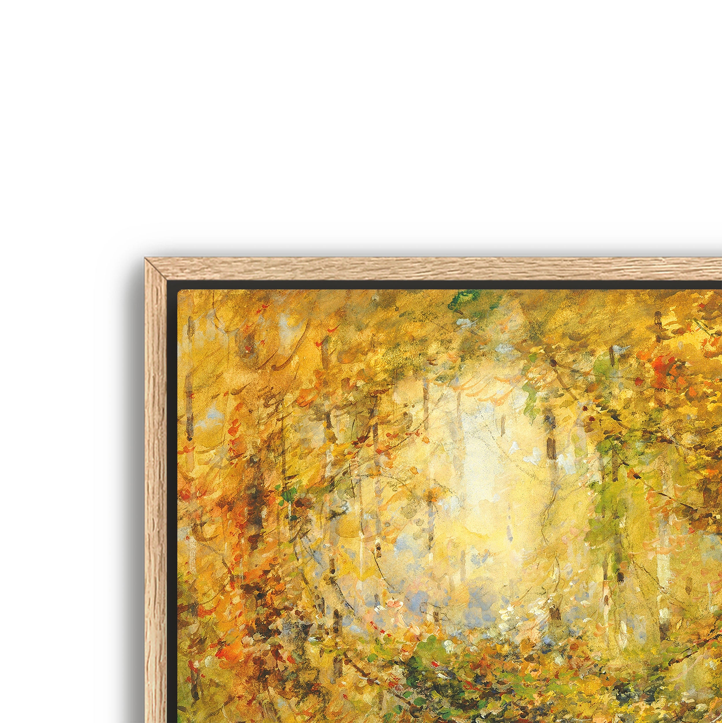 autumn tangle