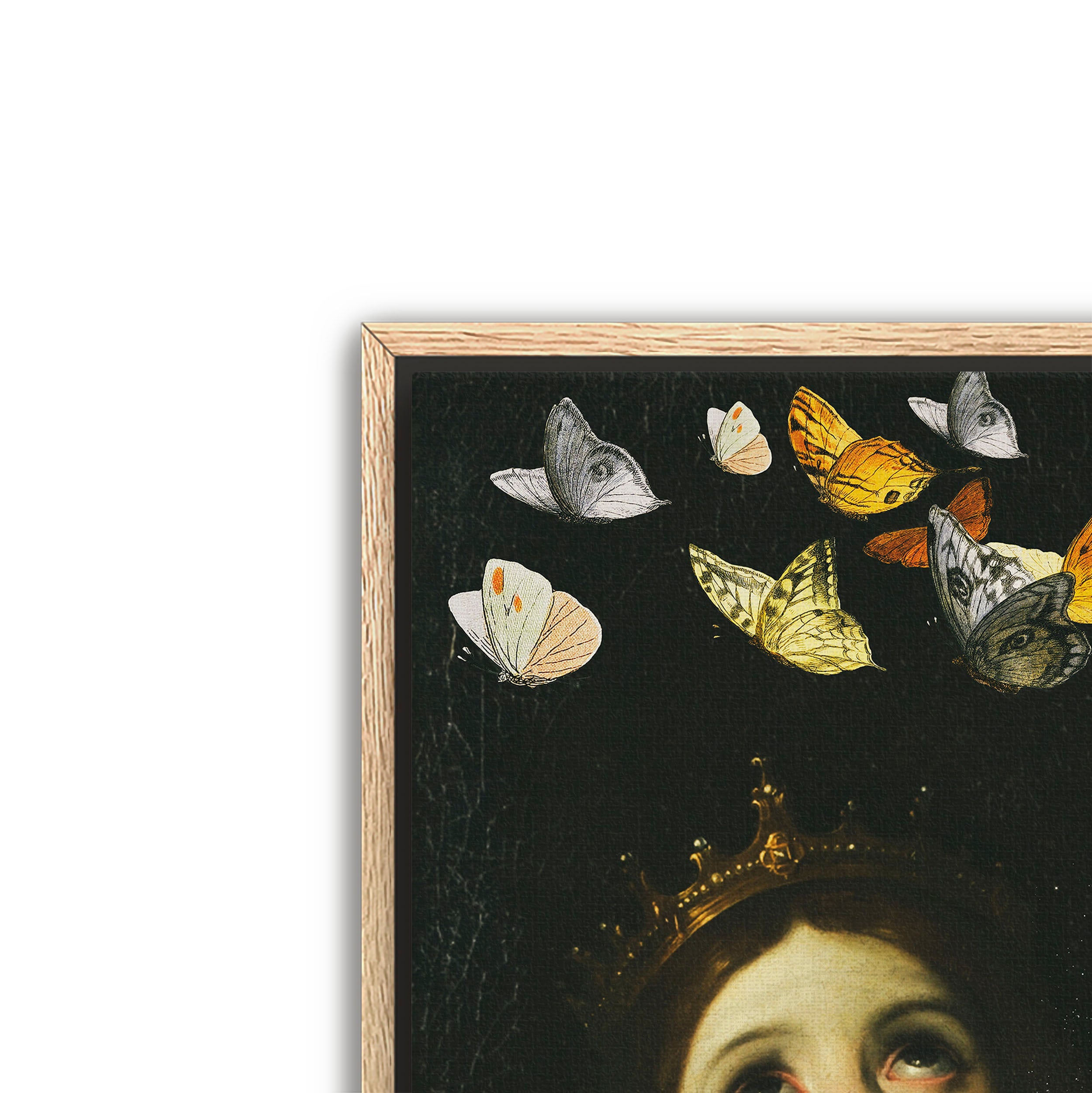butterfly princess