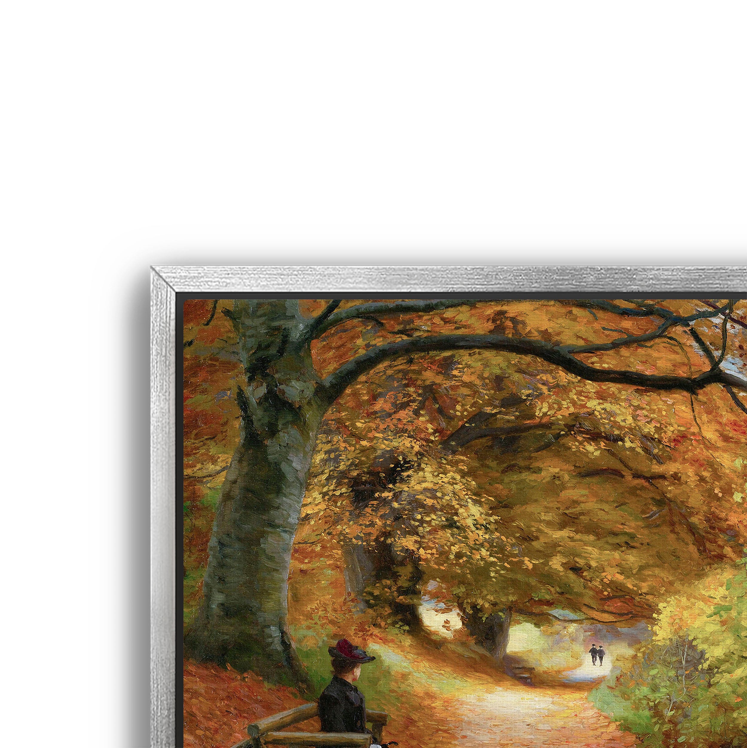wooded autumn path