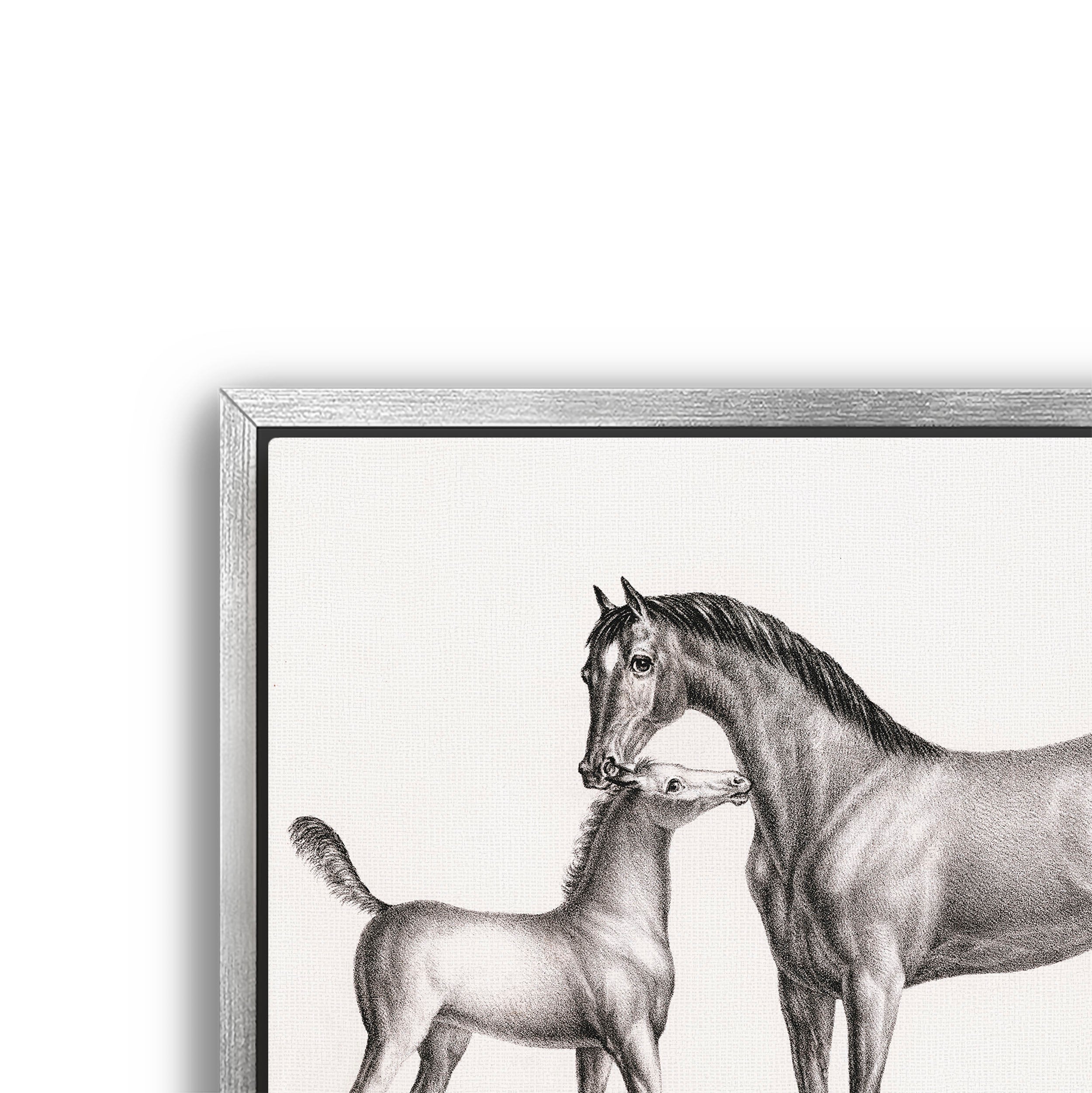 eclipse and her foal