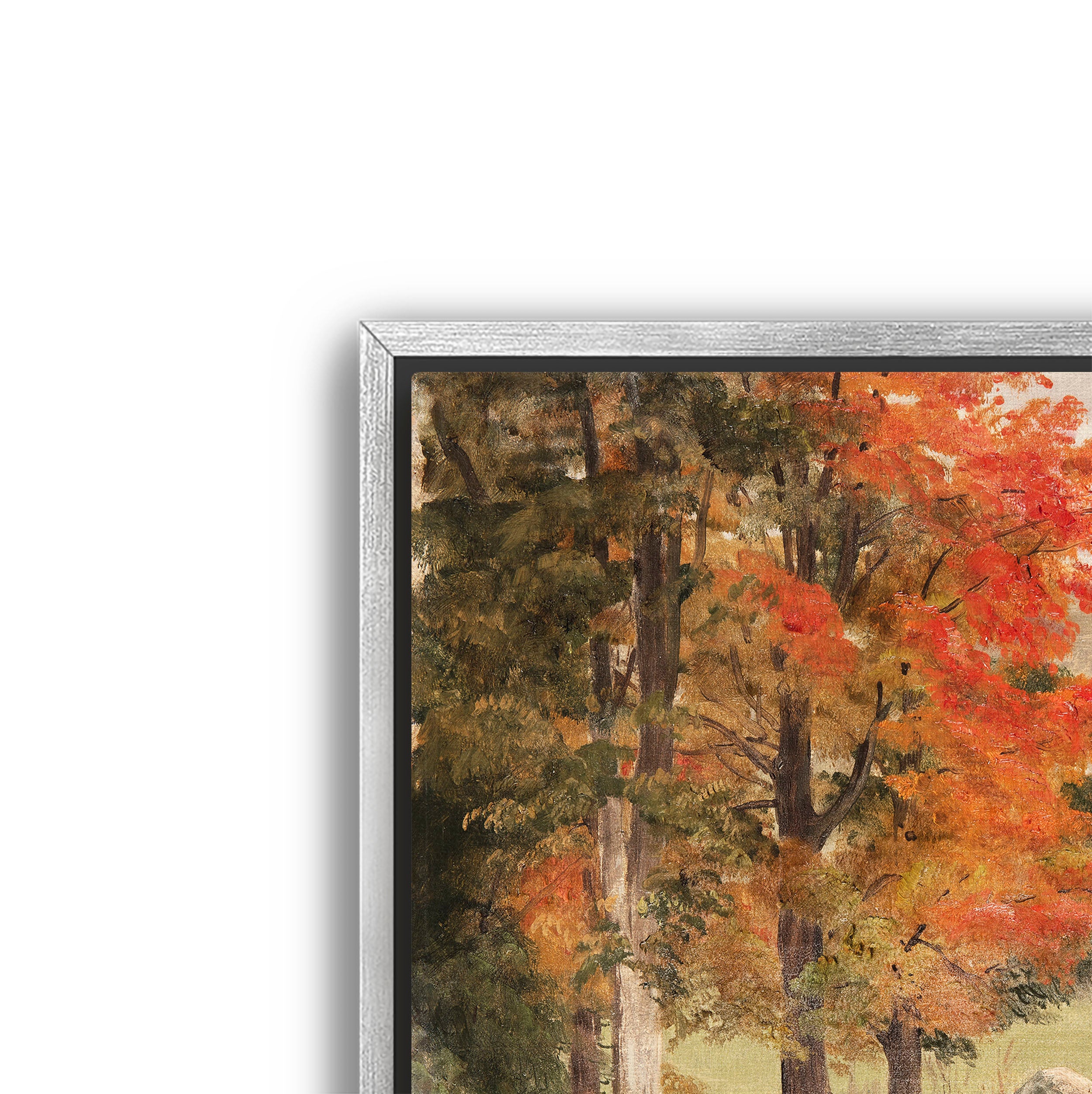 woods in autumn
