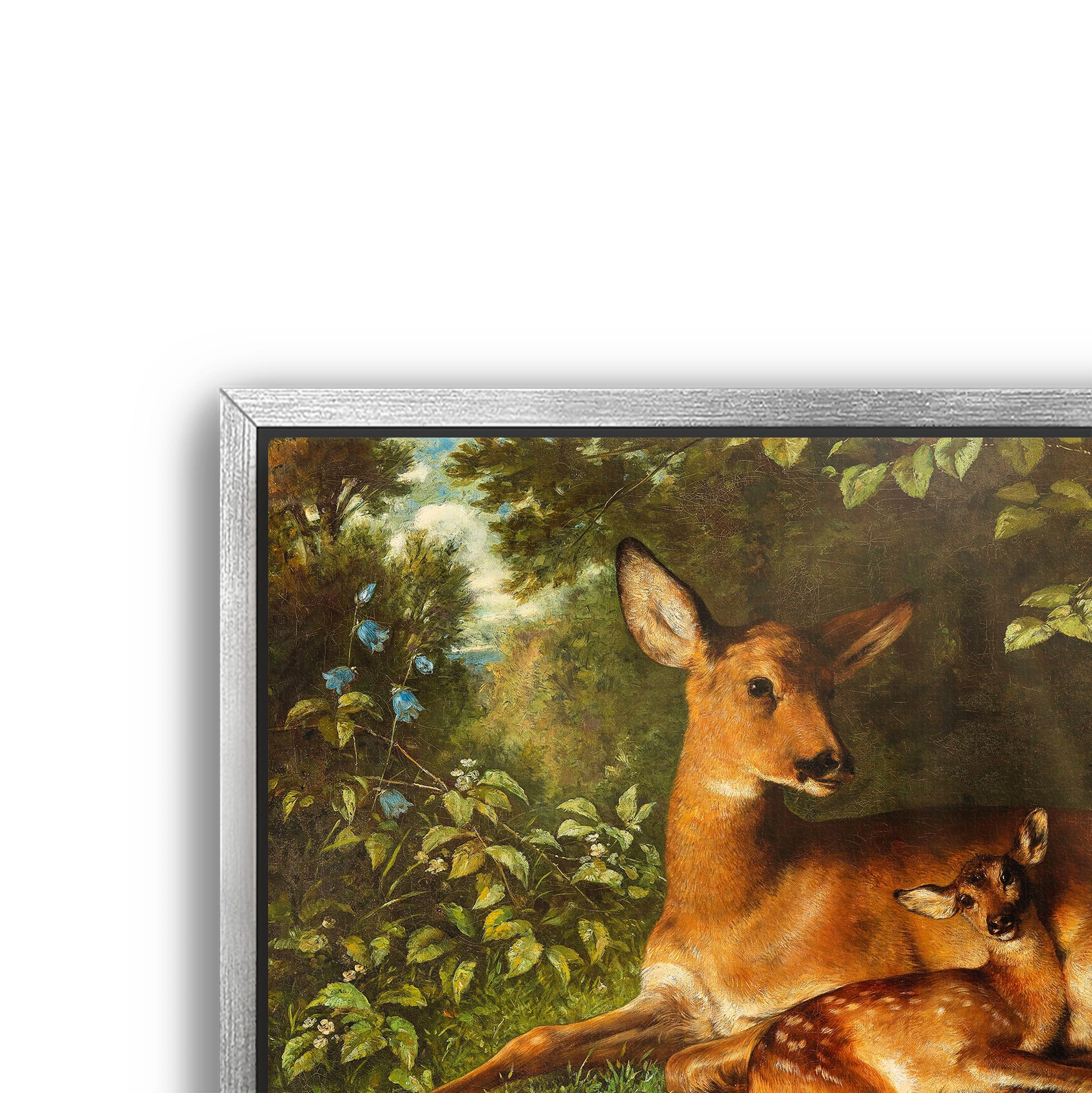 a doe with fawn