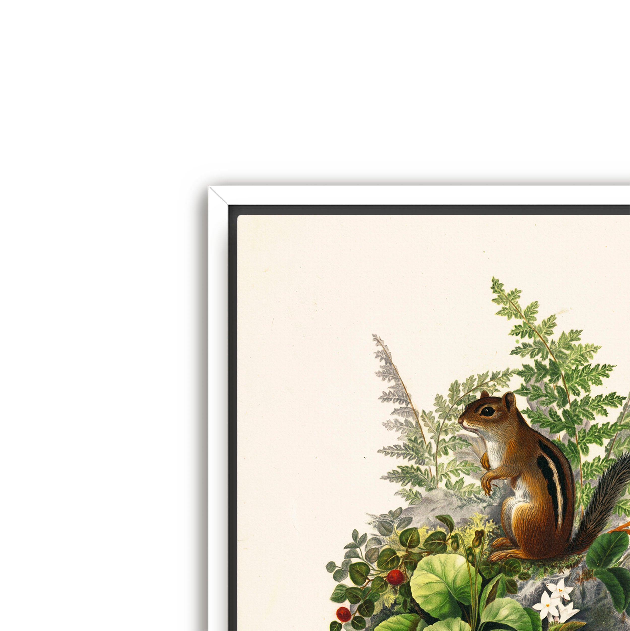 alvin